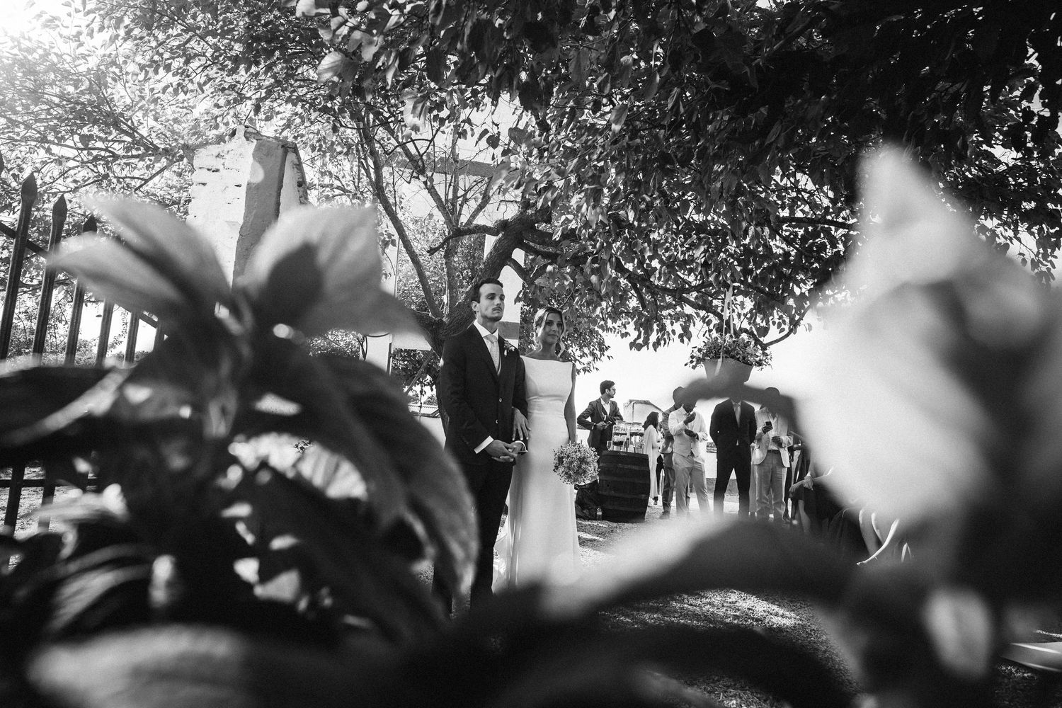 Black and white photo of wedding guests mingling outdoors under trees.