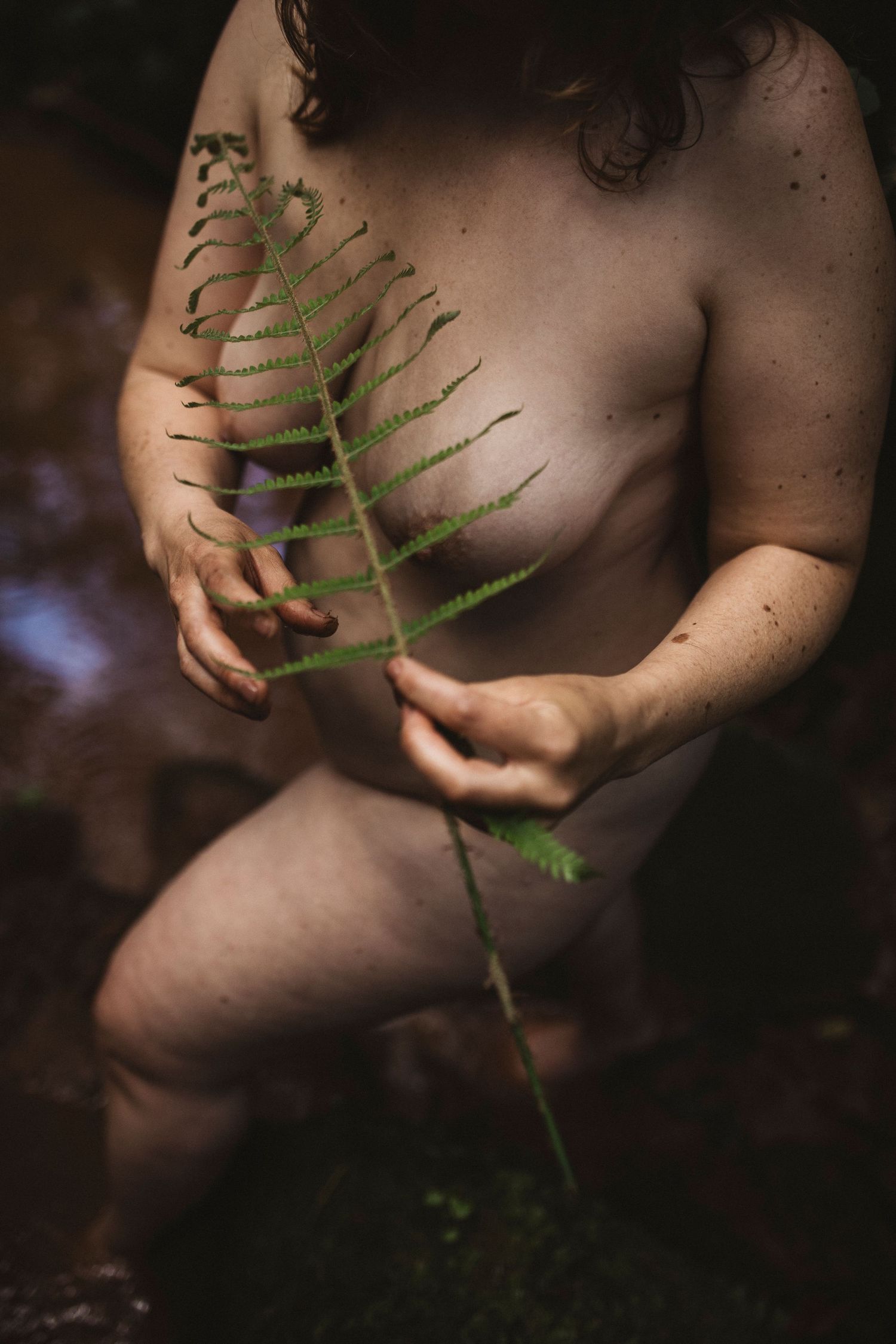 Hands gently holding green fern frond against natural backdrop.