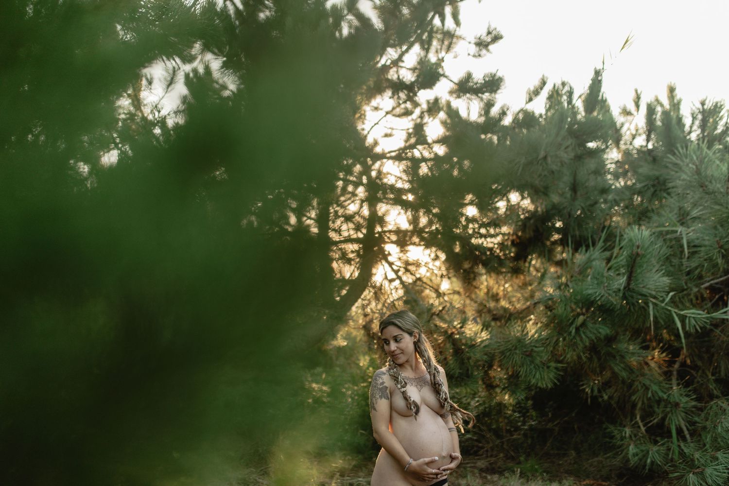 Green forest scene with sunlight filtering through pine trees creating a natural backdrop.