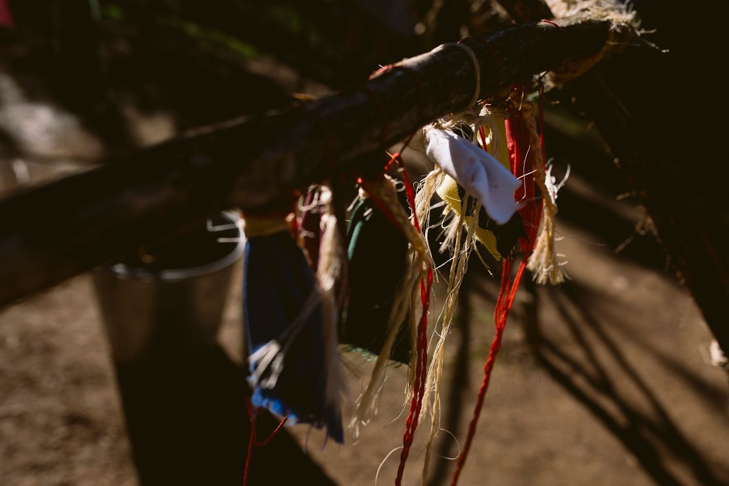 Colorful ribbons and decorative elements hanging from tree branches cast shadows in natural sunlight.