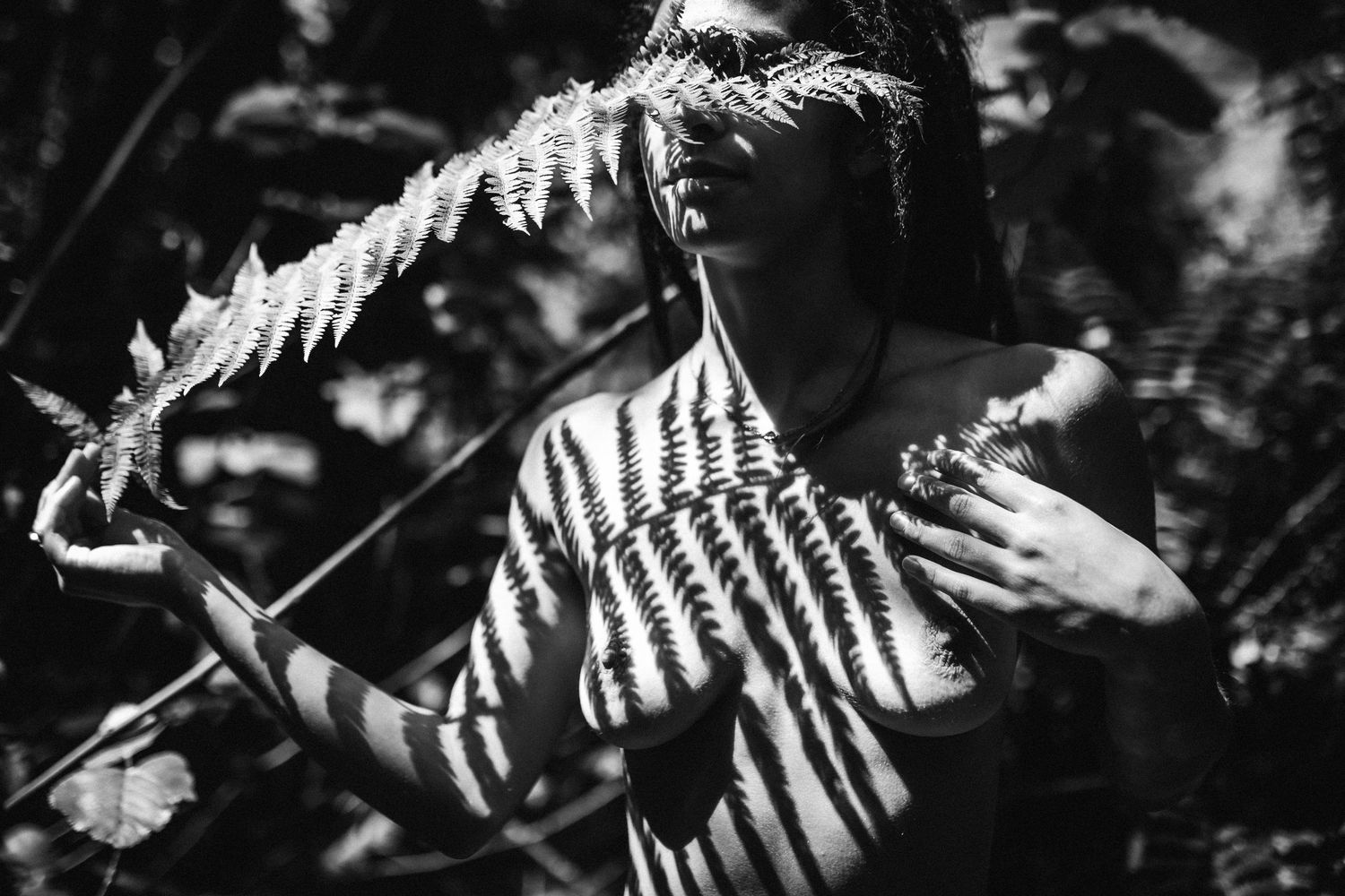 Sunlight creates dramatic shadows of fern leaves on a textured surface in black and white.
