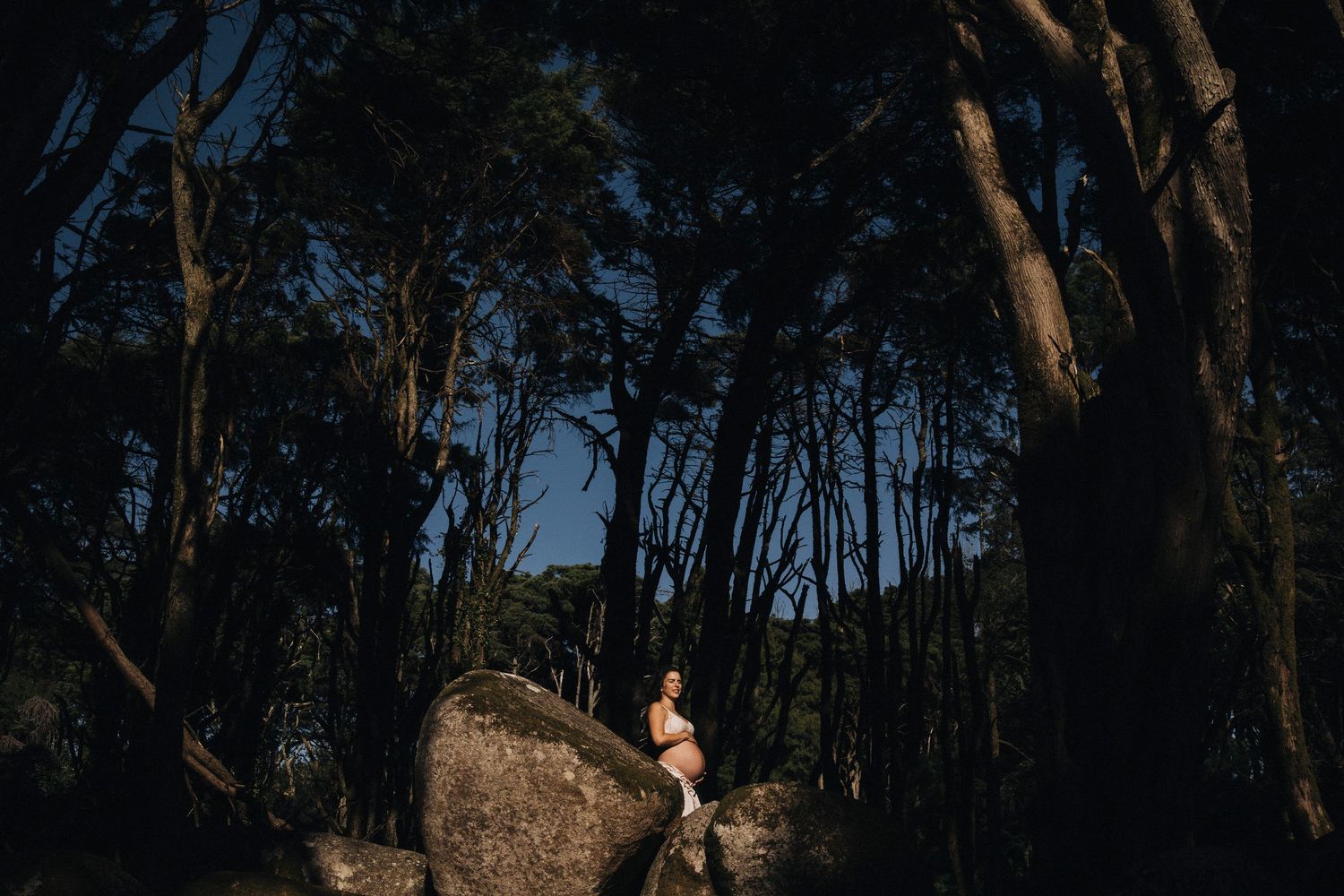 Silhouetted figures against a wooded backdrop during golden hour.