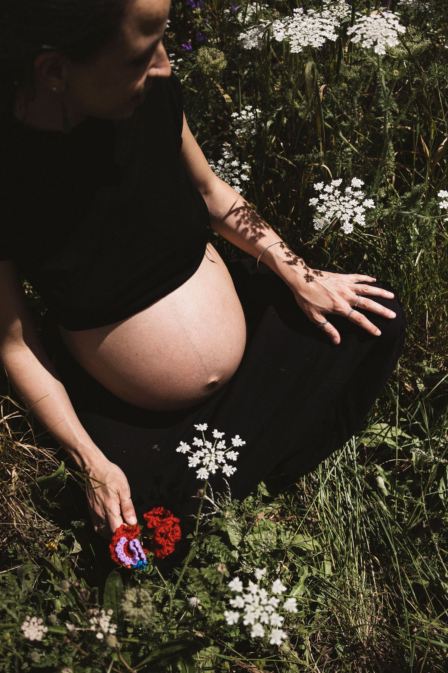 Artistic sequence showing hands interacting with red and white flowers in green grass.
