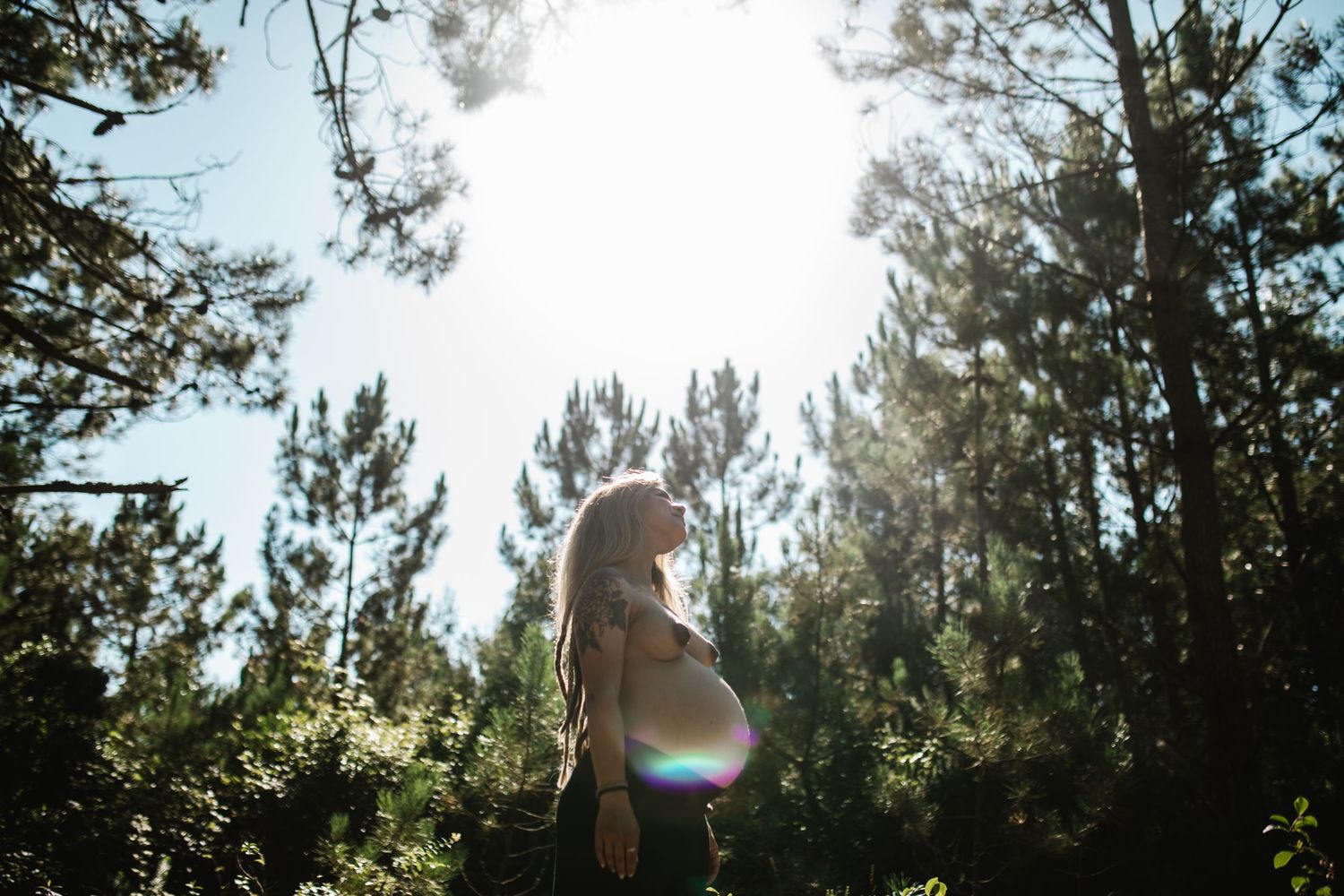 Sunlit forest scene with pine trees and lens flare effects.