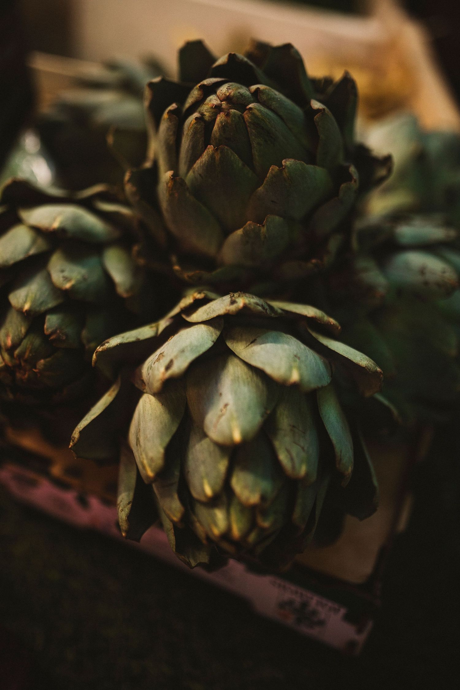 Fresh green artichokes with layered leaves arranged in a row showing their natural texture and patterns.