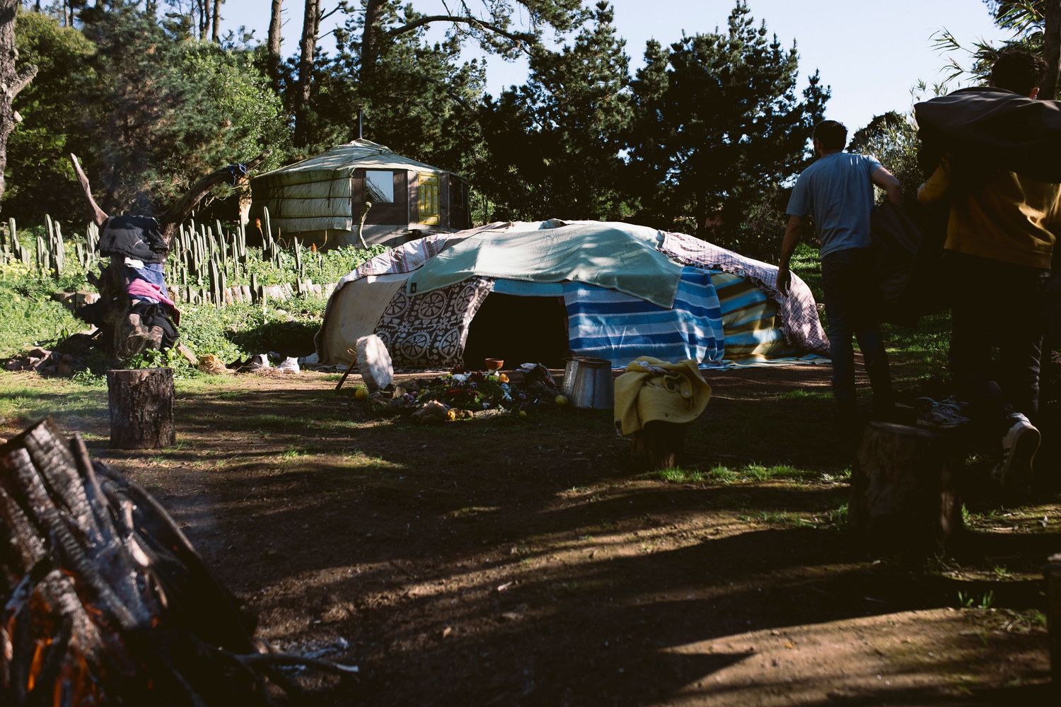 A group enjoys a sunny afternoon gathering in a wooded outdoor area with picnic tables and parked cars visible.