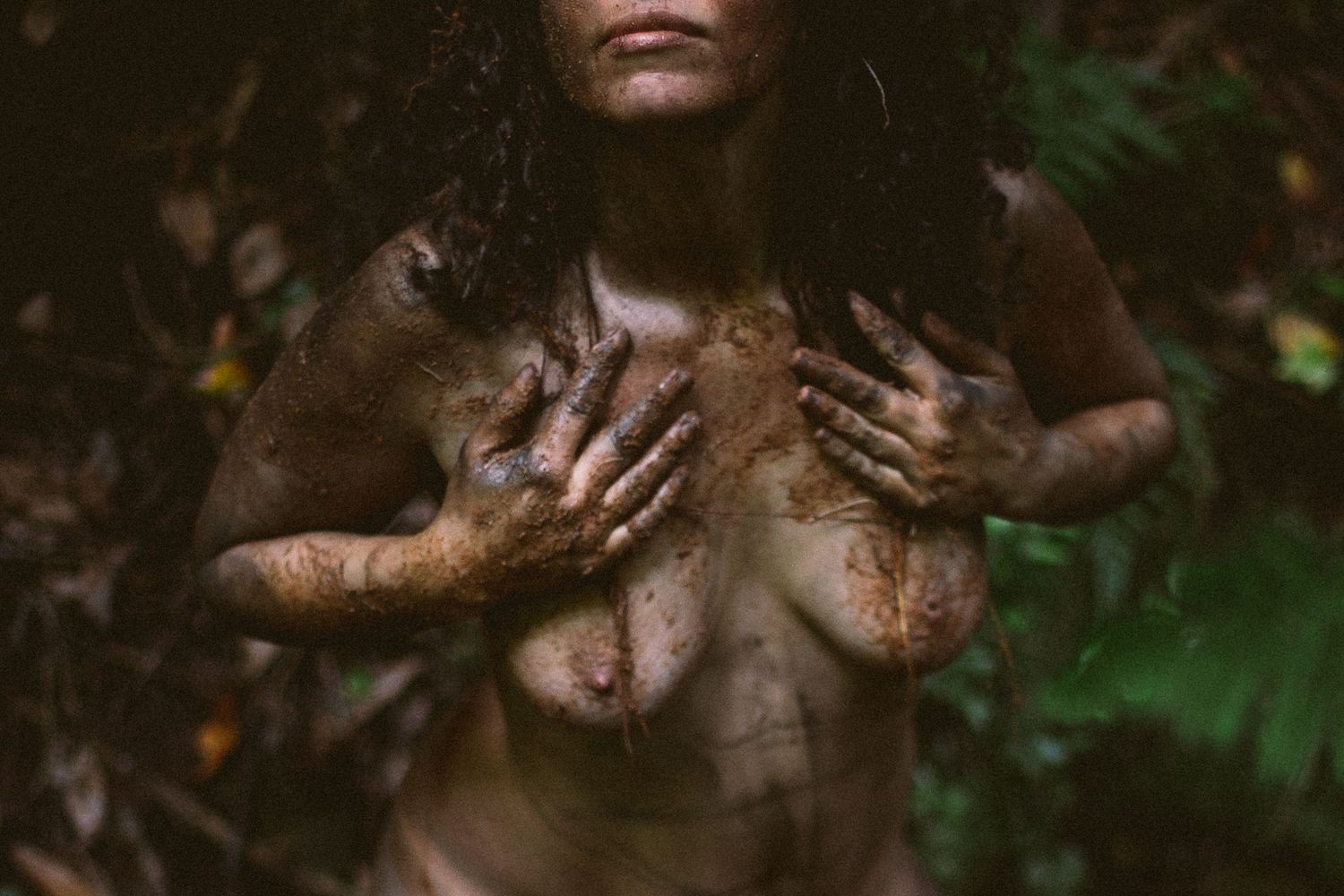 Artistic nature portrait with dramatic lighting and organic textures.