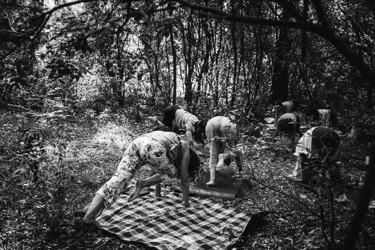 People gathered on a checkered blanket in a wooded area for an outdoor activity.