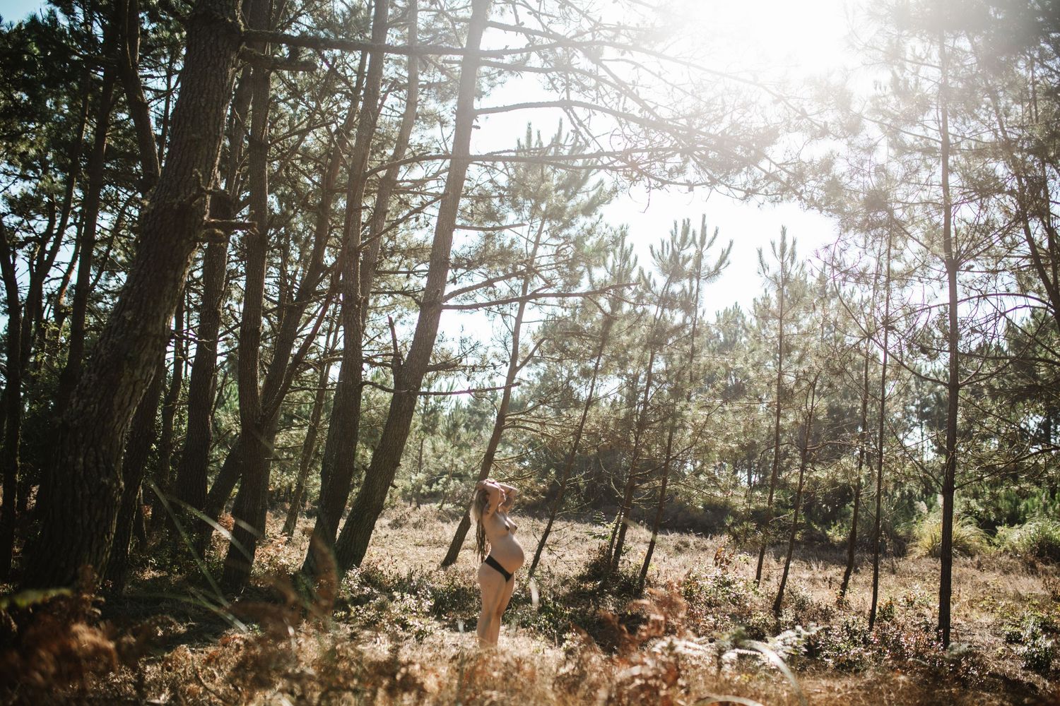 Sunlit forest path surrounded by tall pine trees creating a natural outdoor setting.