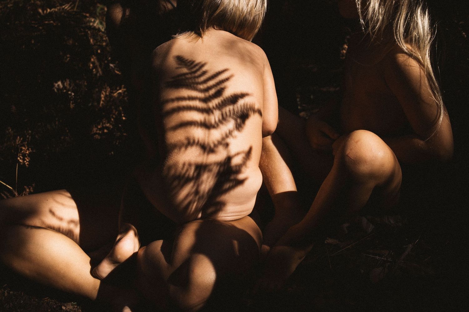 Intimate black and white photography capturing shadows and natural light in forest setting.