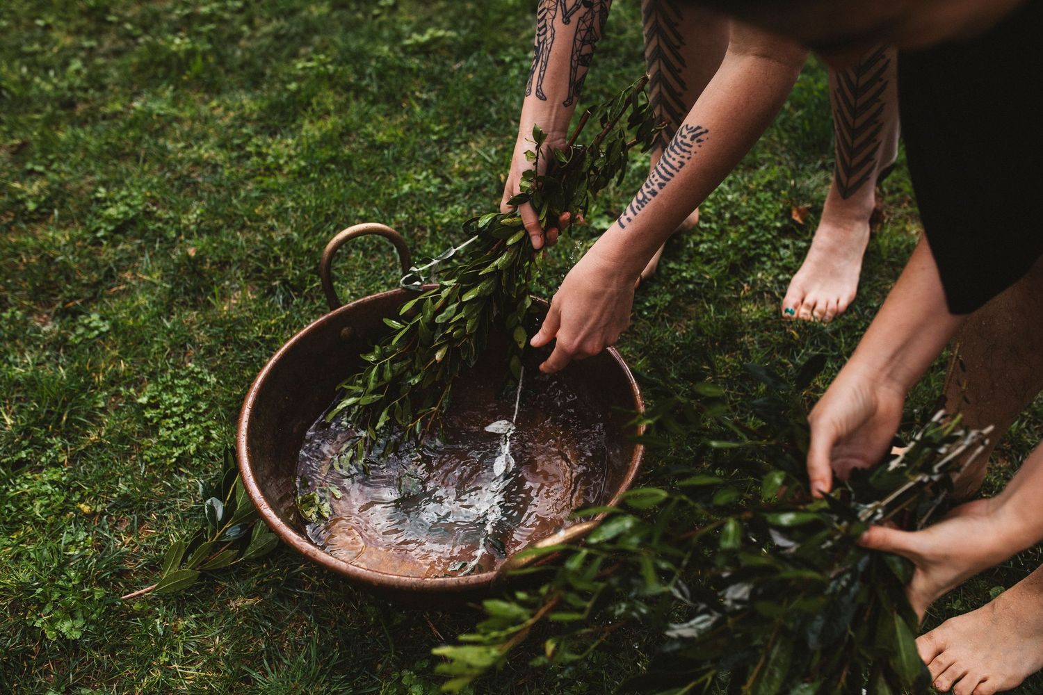 Feet and legs visible around metal basins filled with water on grass.