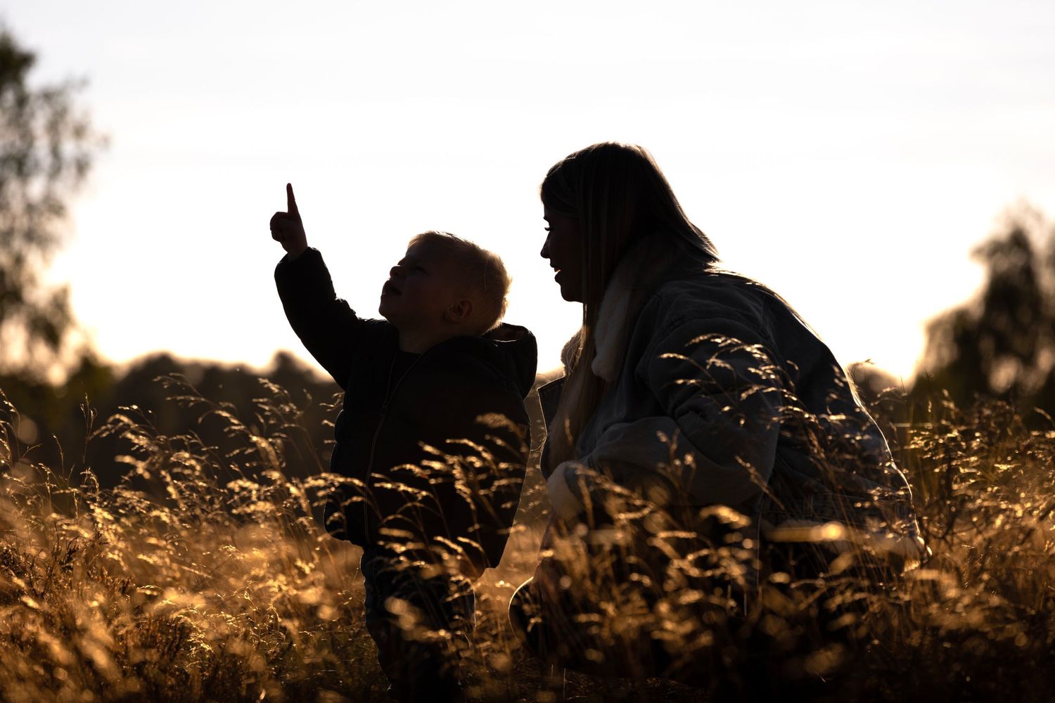 Silhouettes of two figures sitting in golden grass during sunset.
