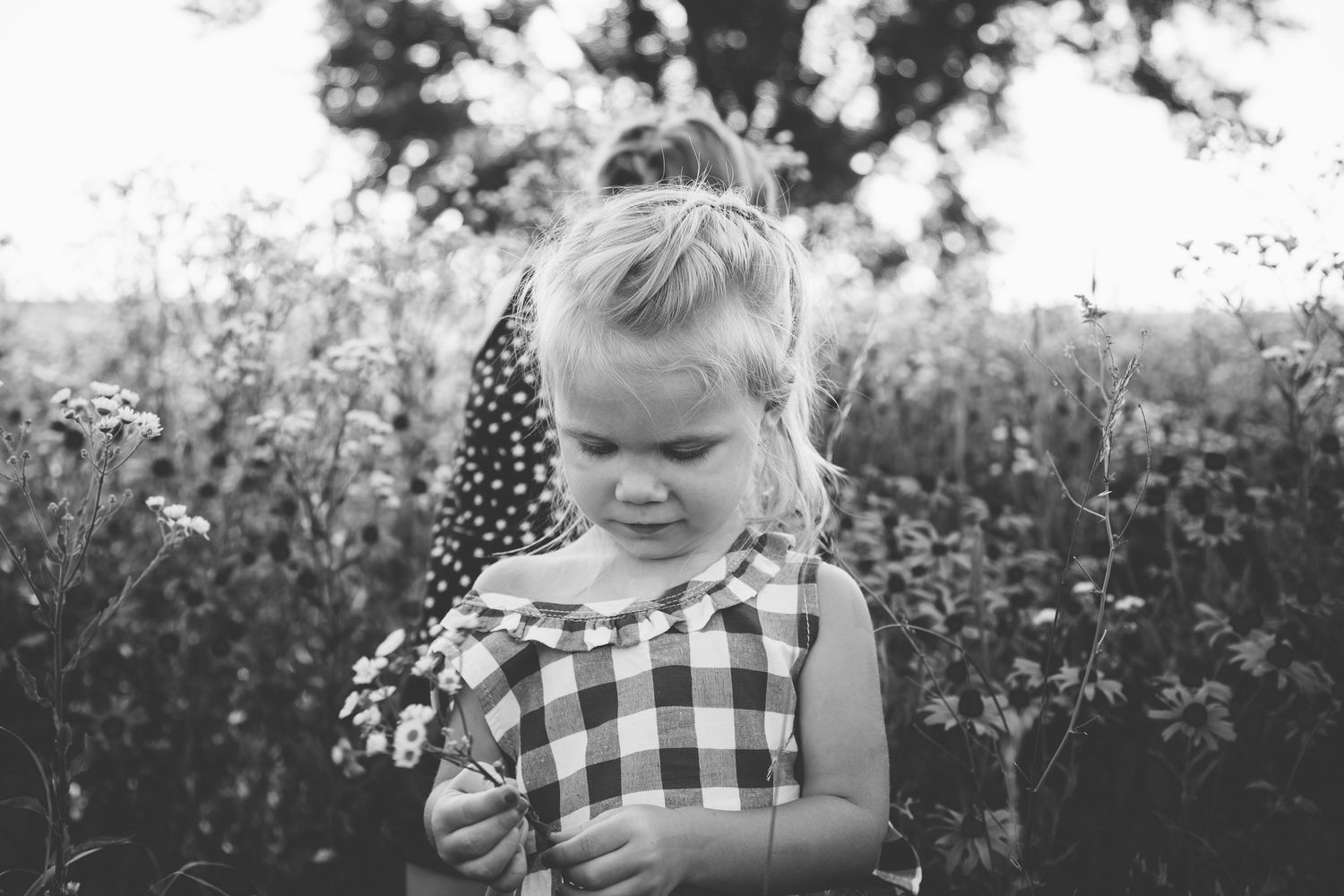 Little girl holding wild flowers in a wildflower field in Concordia kansas.