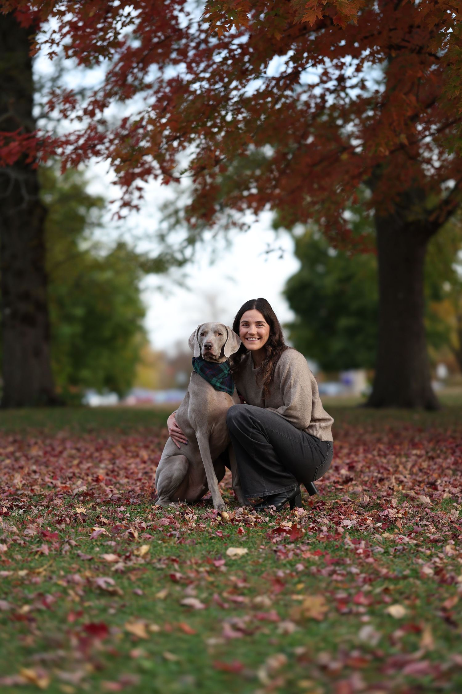 Smiling woman posing with her Weimaraner dog under vibrant red autumn trees in a scenic park.