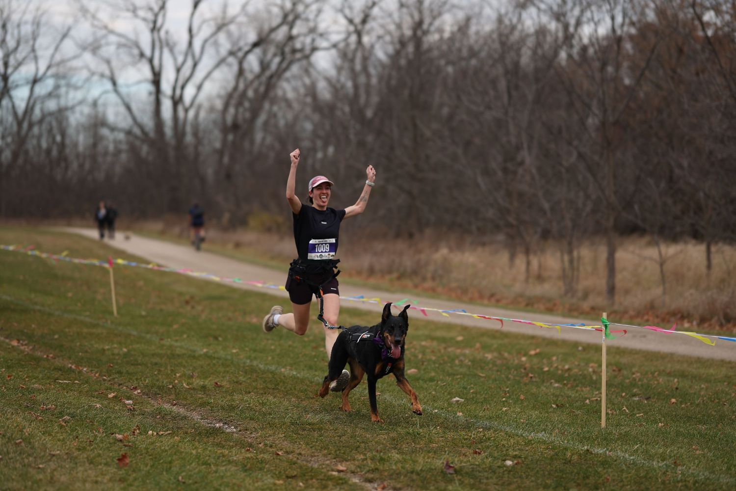 A runner celebrates crossing the finish line with a Beauceron dog at an outdoor canicross race.