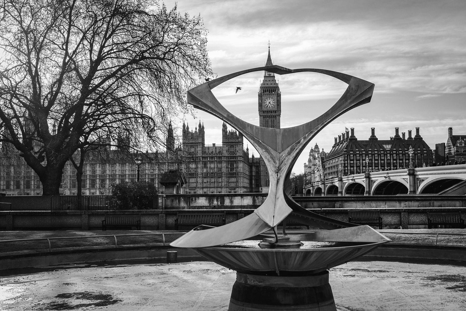VERONICA WILLIAMS - PHOTOGRAPHER
Elizabeth Tower and Westminster Palace in monochrome