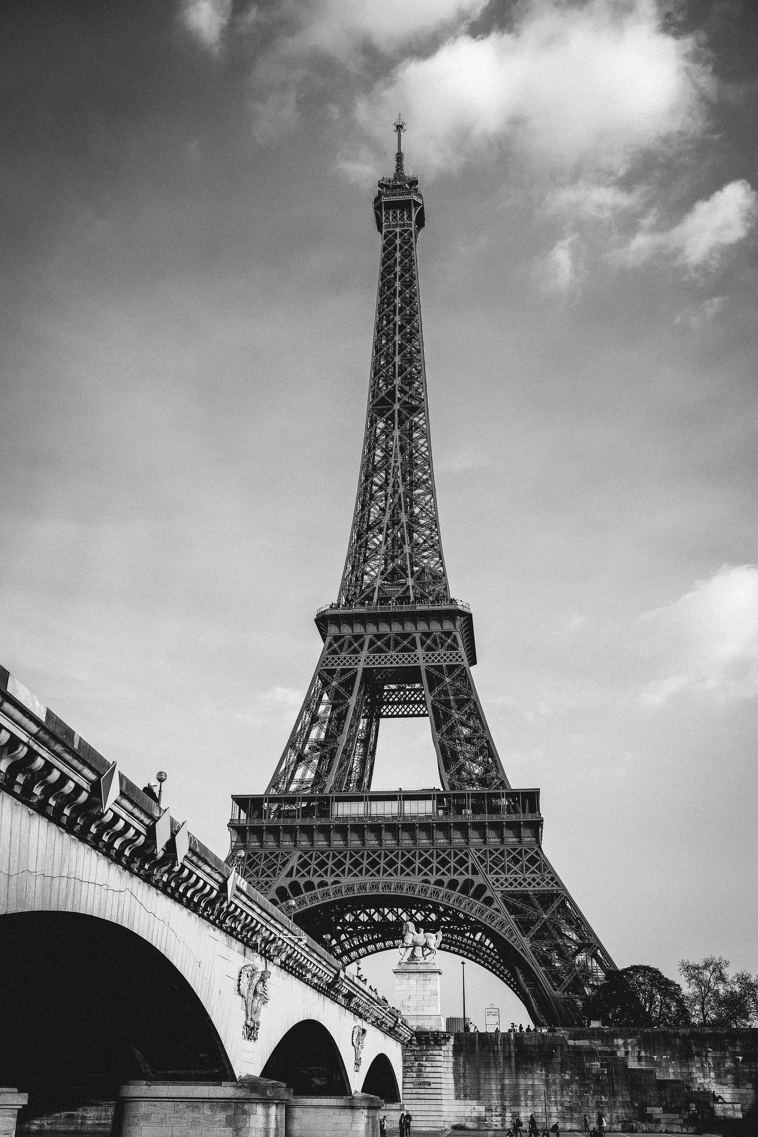 VERONICA WILLIAMS - PHOTOGRAPHER
Eiffel Tower in monochrome