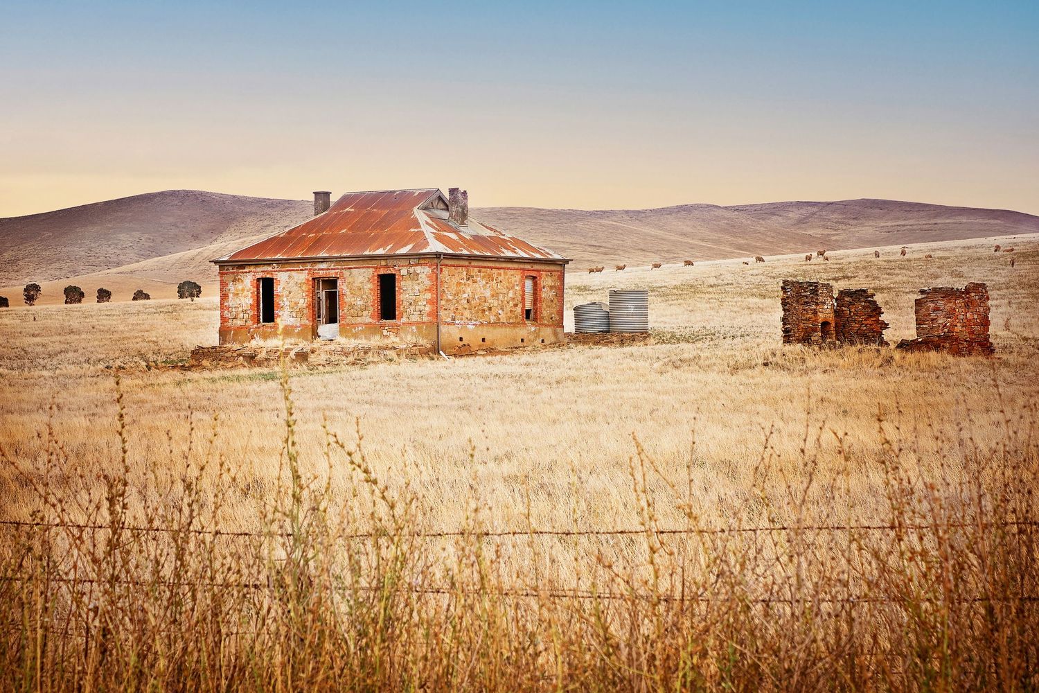 VERONICA WILLIAMS - PHOTOGRAPHER
Reggie's Hut, Burra