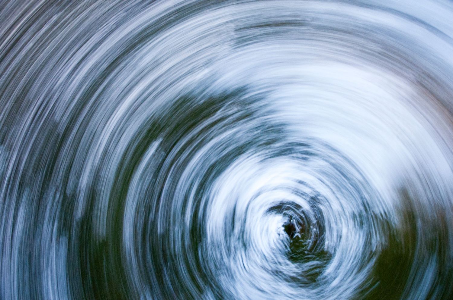 Abstract photograph of swirling trees and circular reflections.