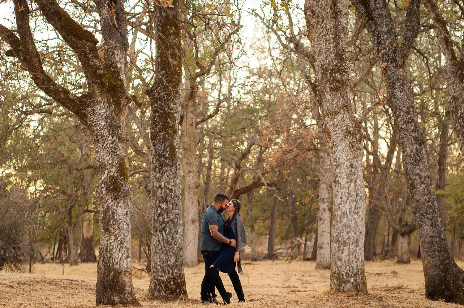 Couple kissing among tall trees during a golden hour outdoor portrait session.