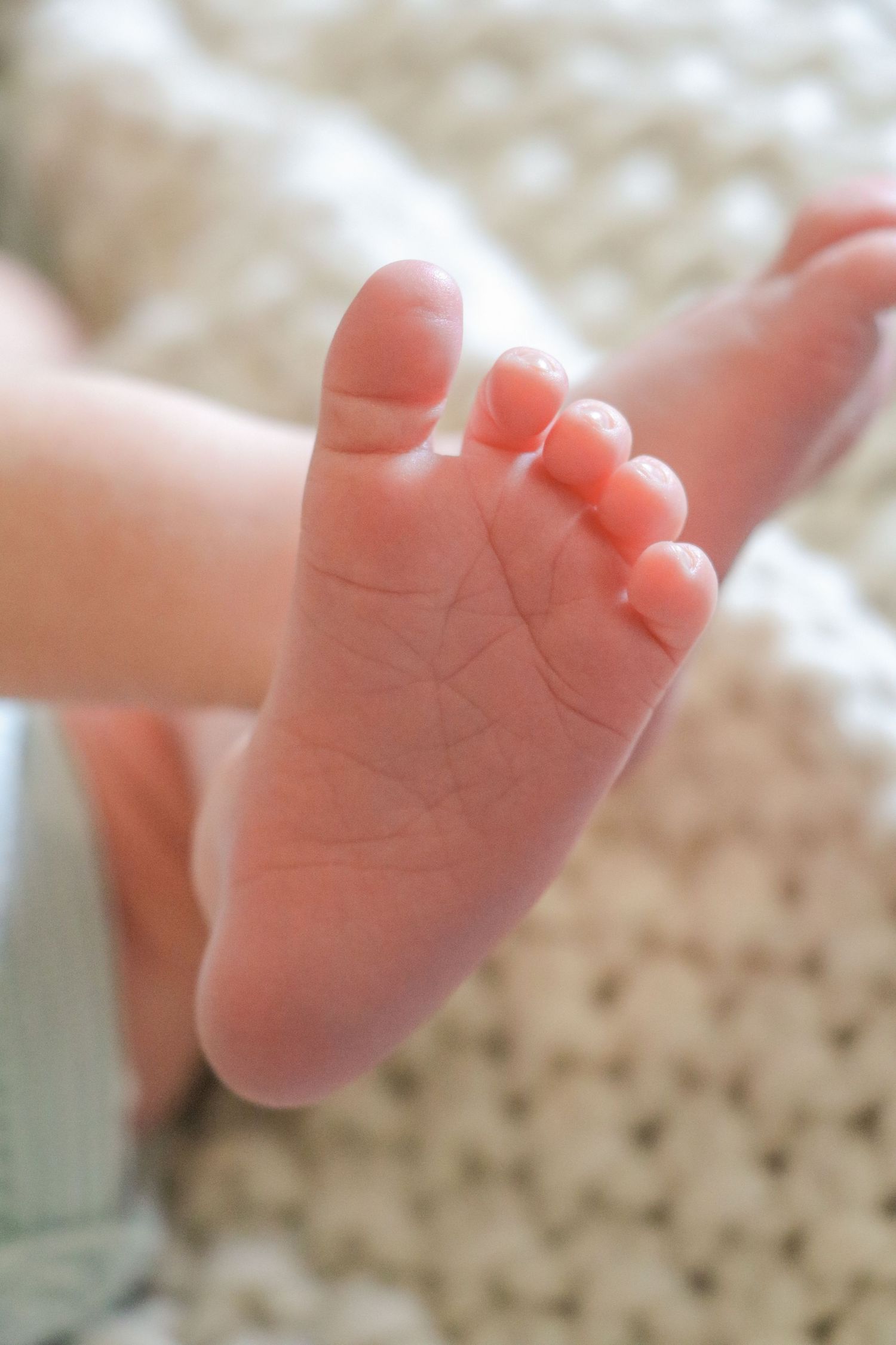 Newborn Photo