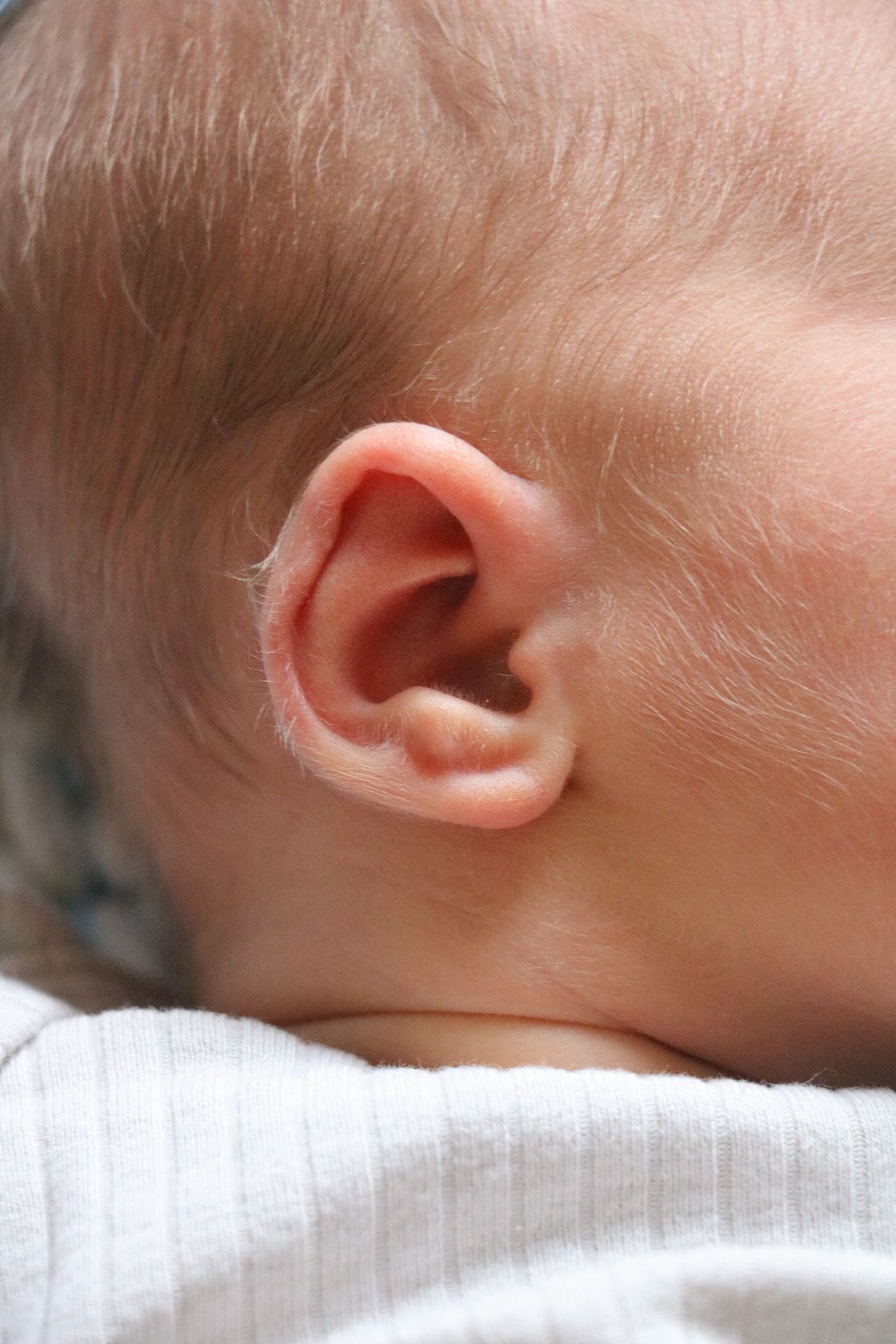 Newborn Photo