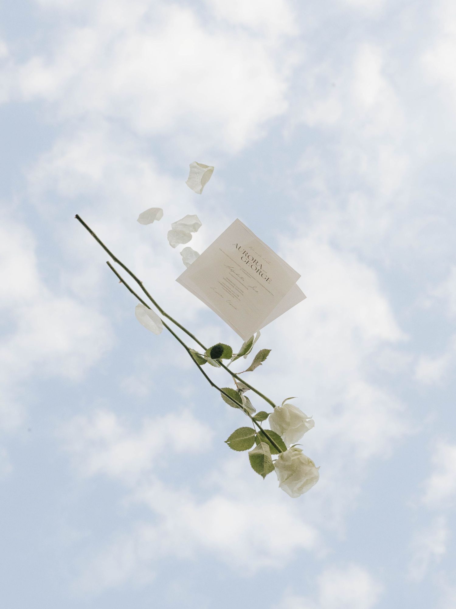 Hochzeitseinladung mit Blume im Himmel fotografiert – kreative Detailaufnahme, Hochzeitsfotografie Beckum, Münsterland.
