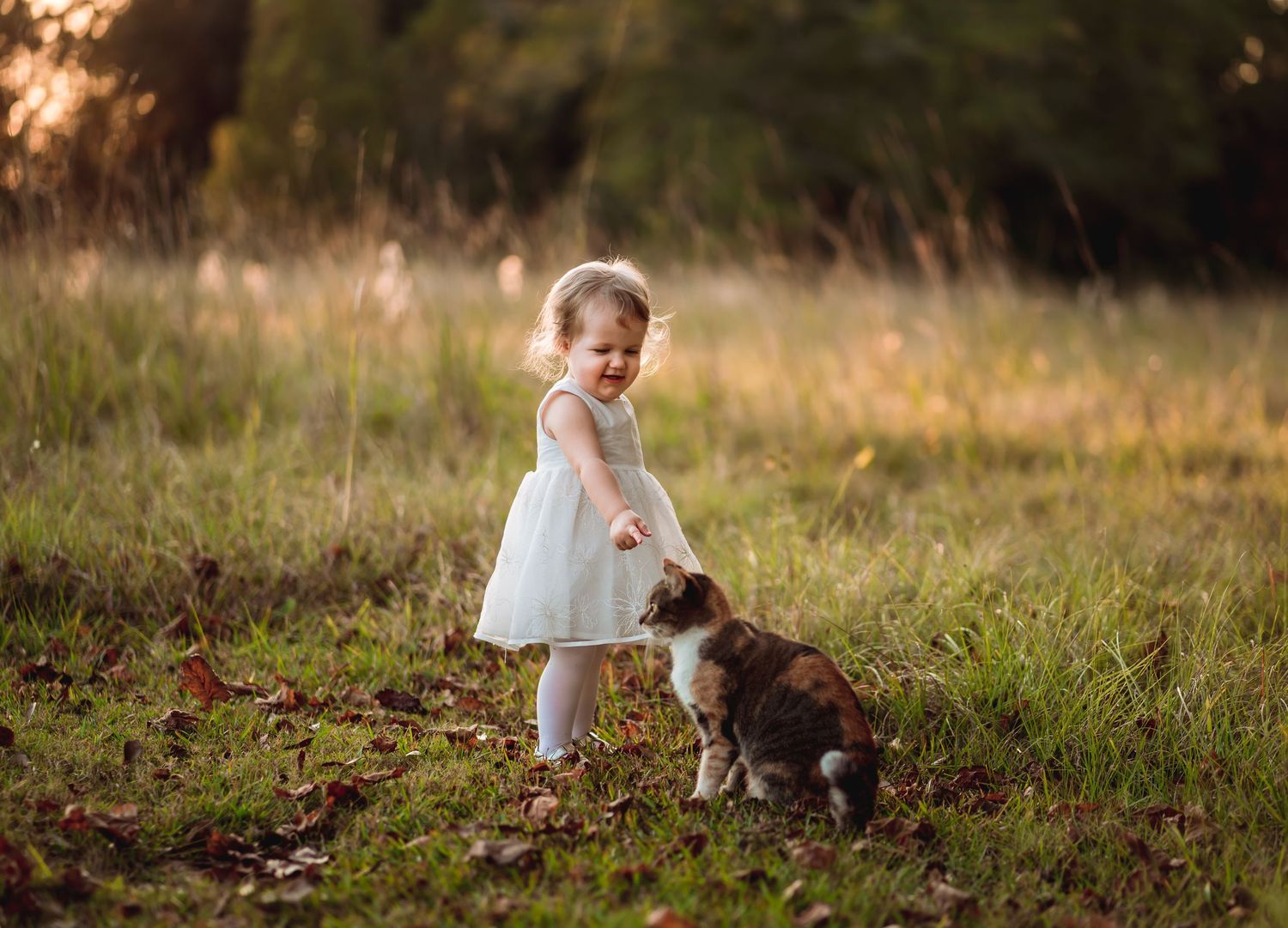 Little one in white dress plays with puppy in sunlit meadow.