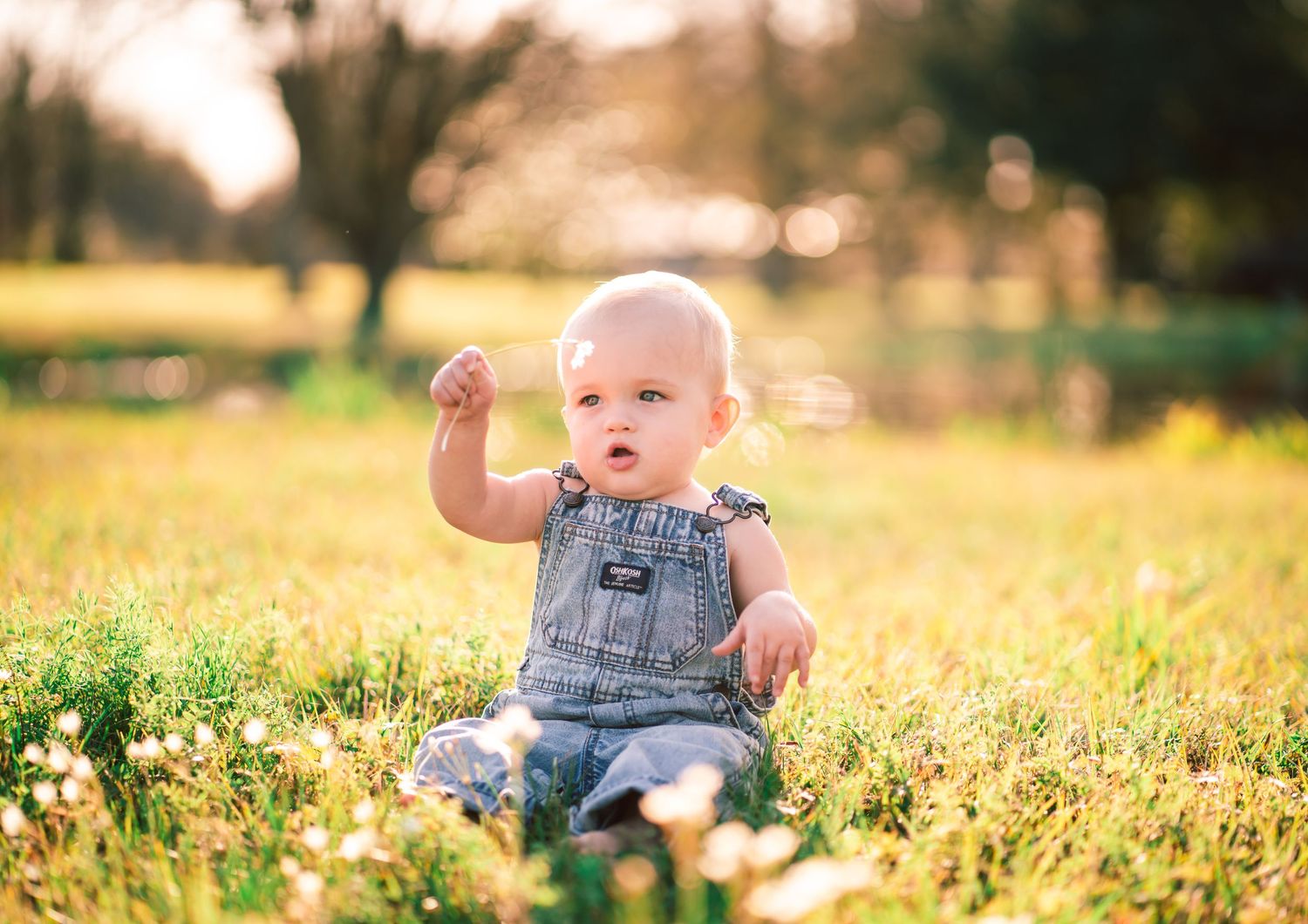 Baby in denim overalls sits among wildflowers in golden sunset light.