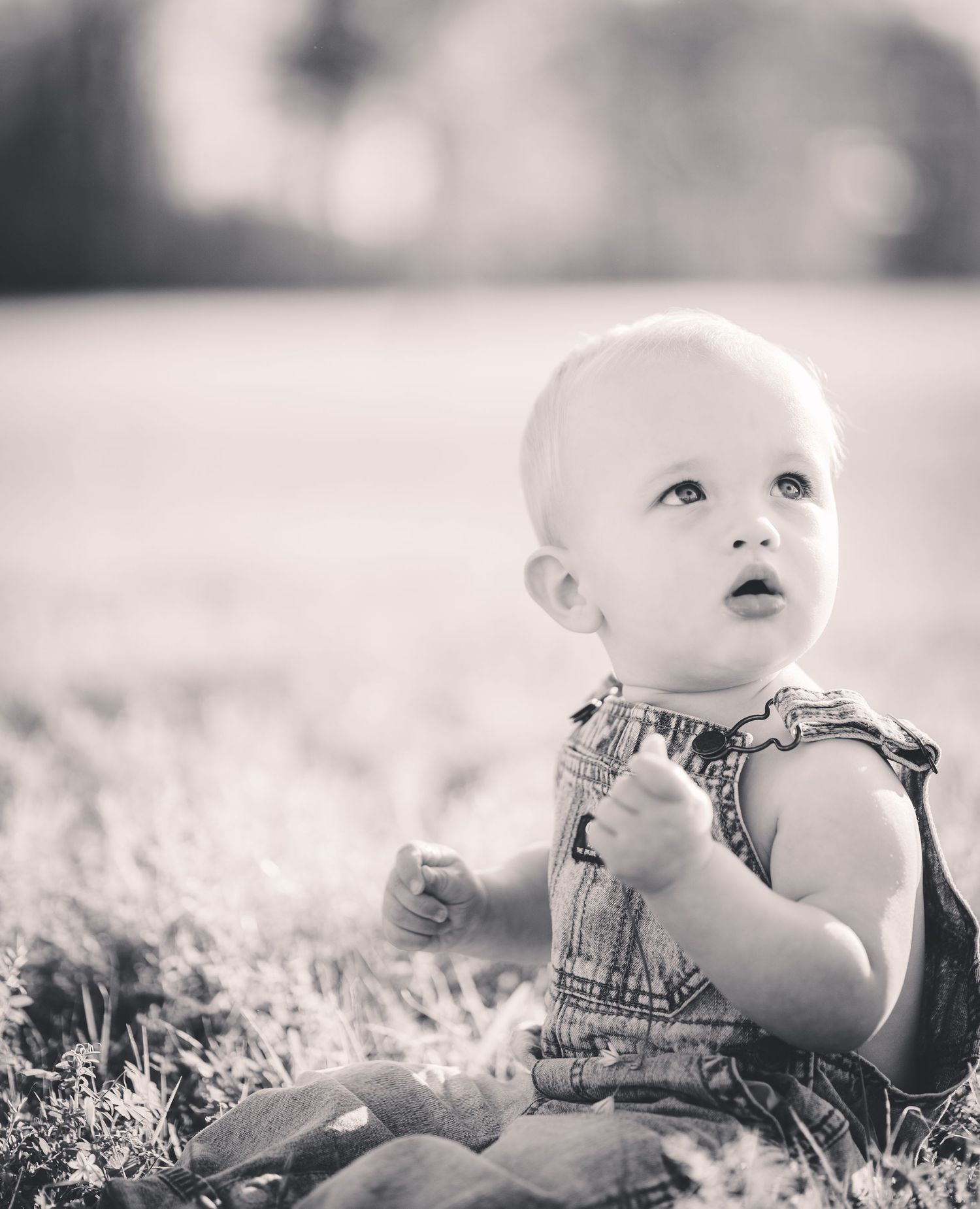 Black and white portrait of baby in overalls gazing upward while sitting outdoors.