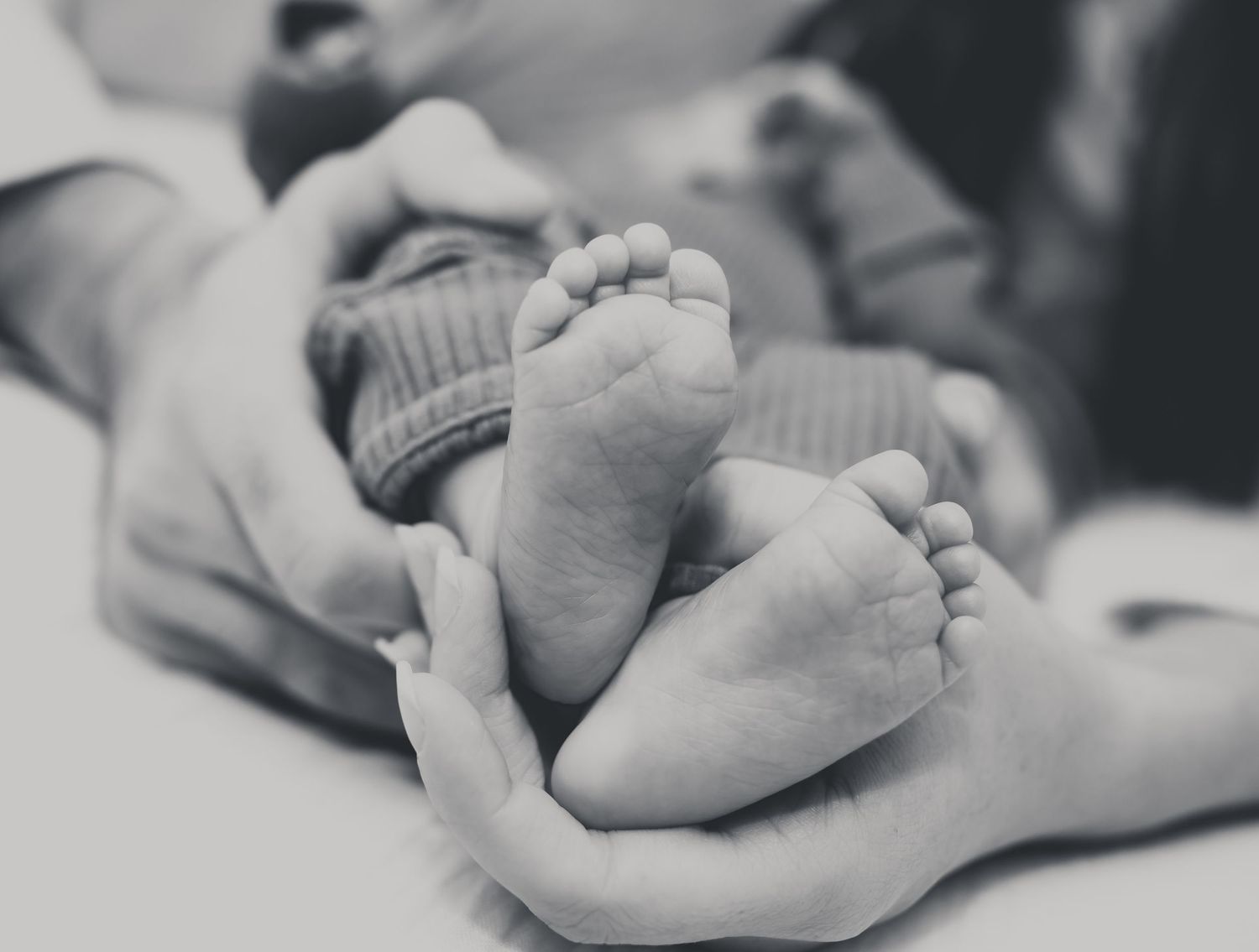 Black and white photo series showing tiny newborn baby feet and hands in tender close-up detail.