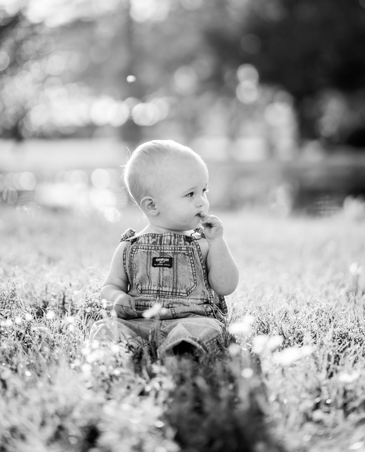 Black and white portrait of baby in overalls sitting in grassy field.