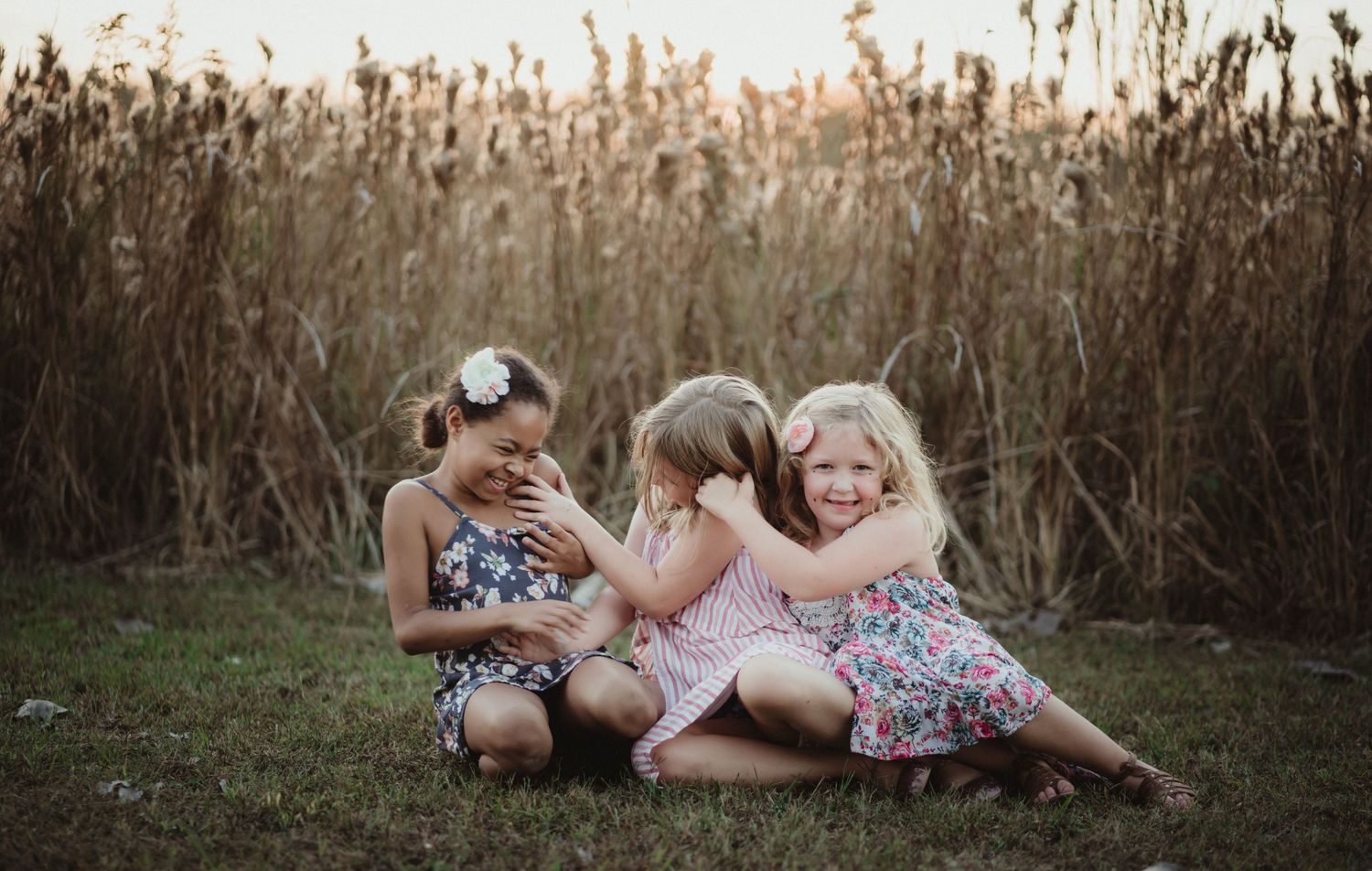 A series of outdoor portraits captured in a golden wheat field at sunset with dreamy natural lighting.