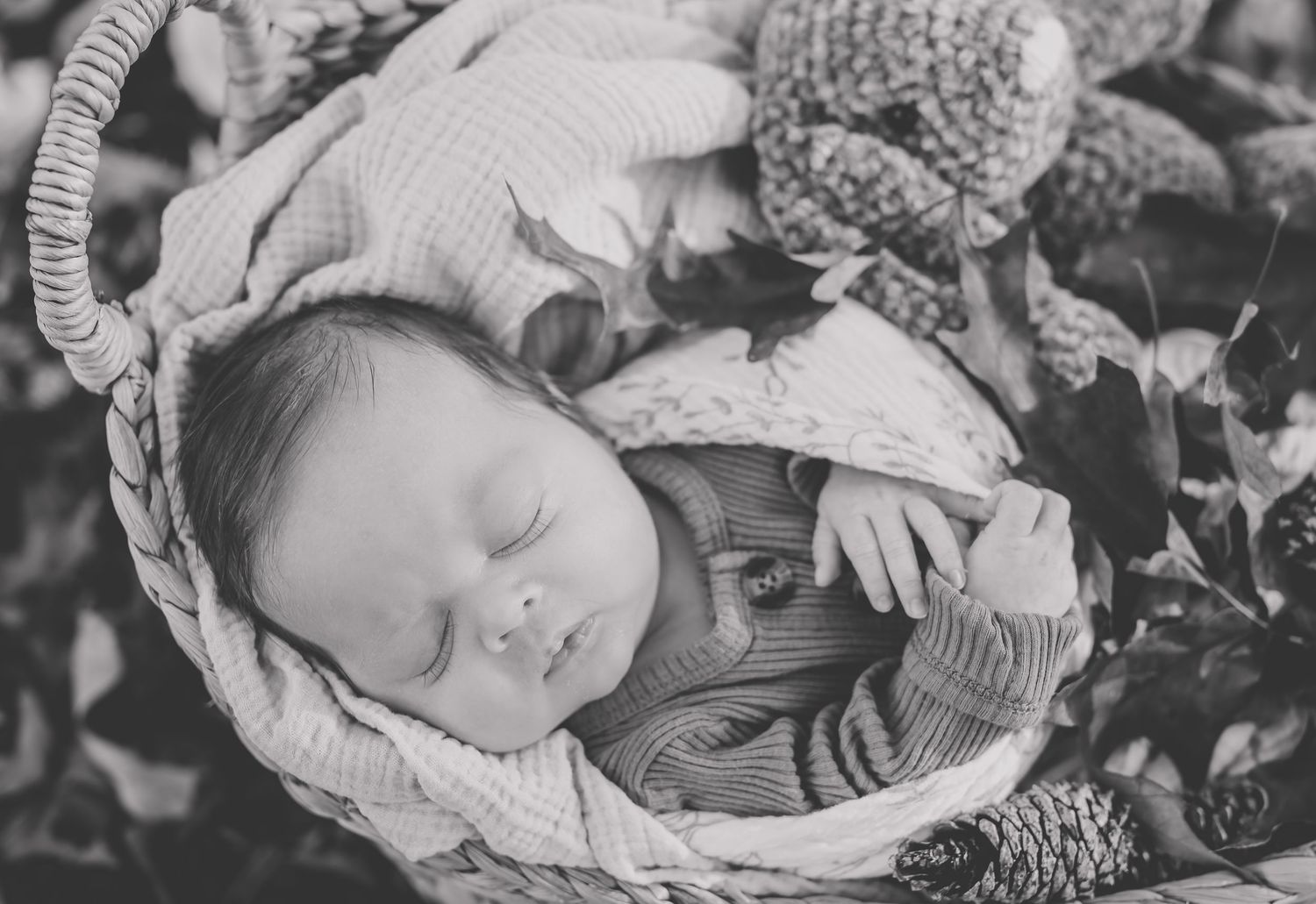 A sleeping baby lies peacefully in a wicker basket surrounded by leaves and floral elements in black and white.