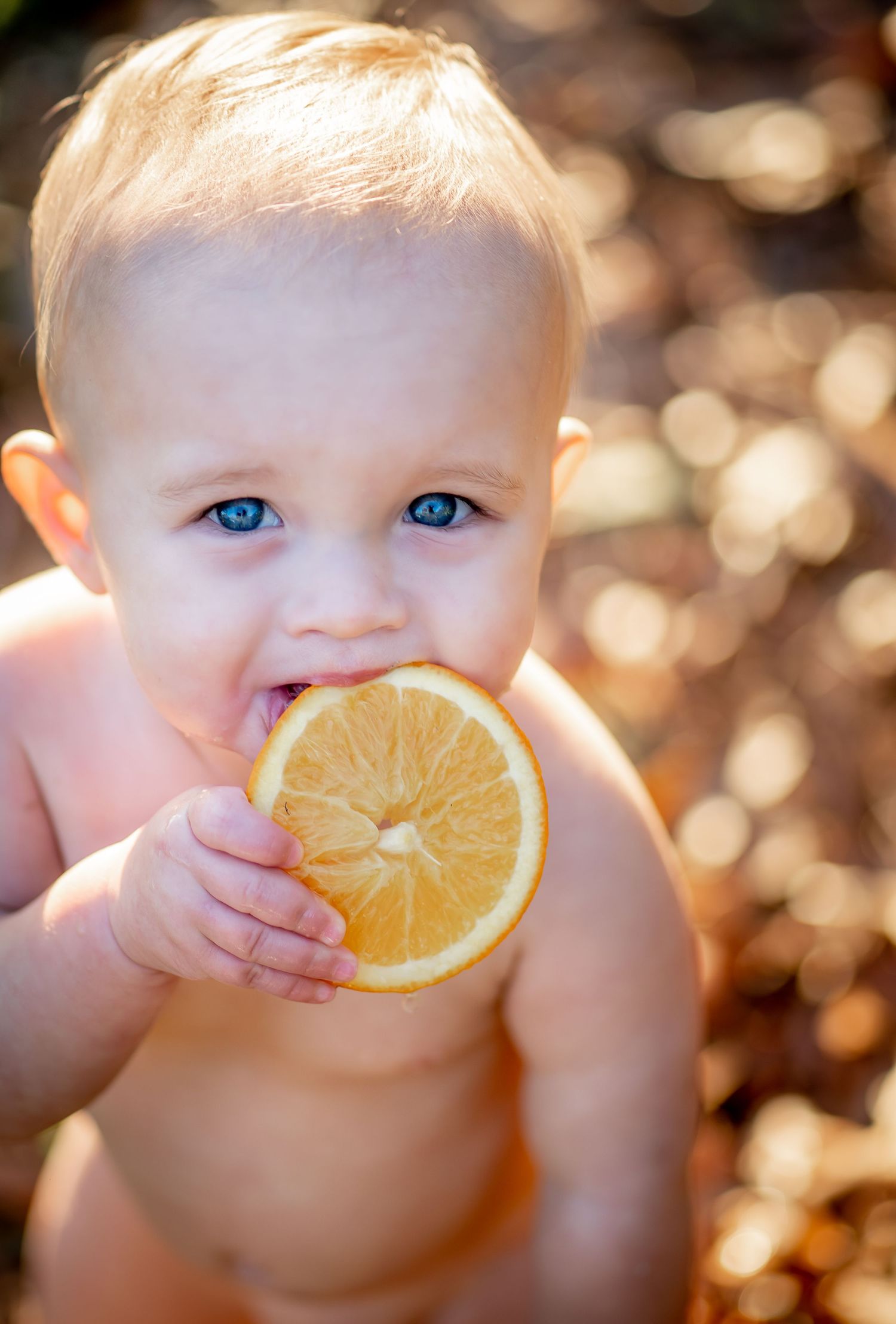 A baby bites into a fresh orange slice while sitting outdoors in warm sunlight.