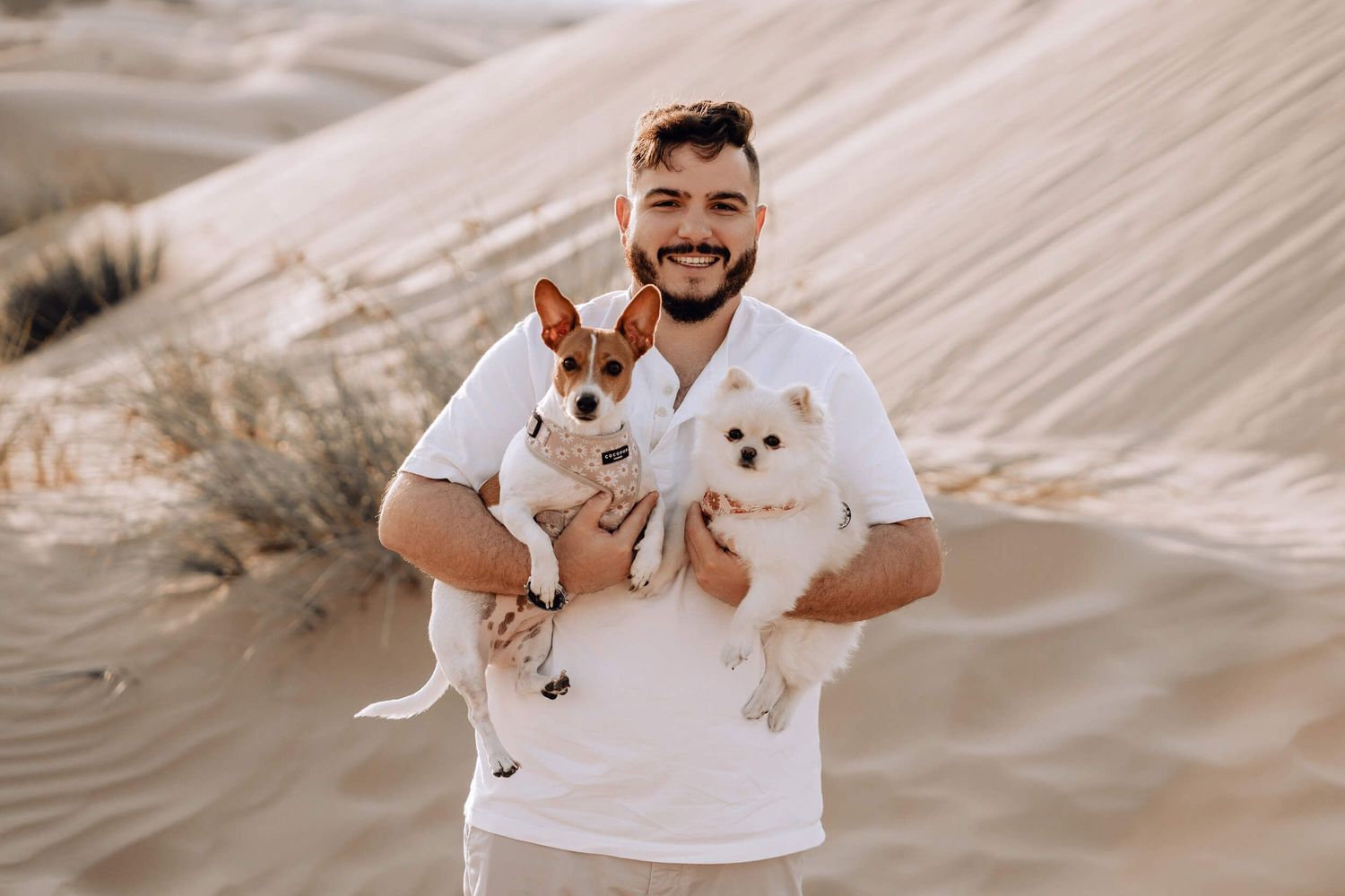 Person in white polo holding two small dogs against desert sand dunes in warm lighting.