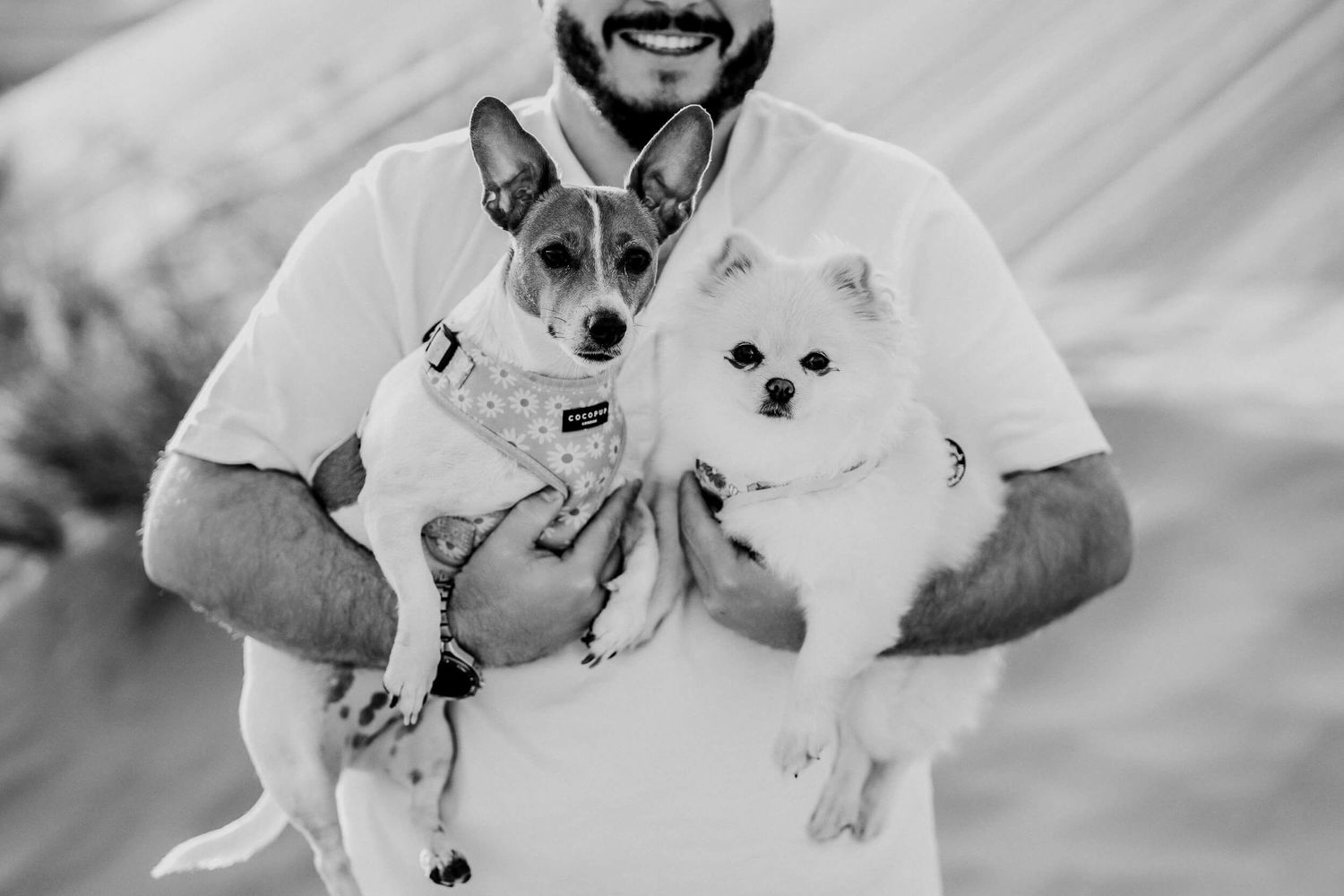 Black and white portrait of someone holding two small dogs against desert background.