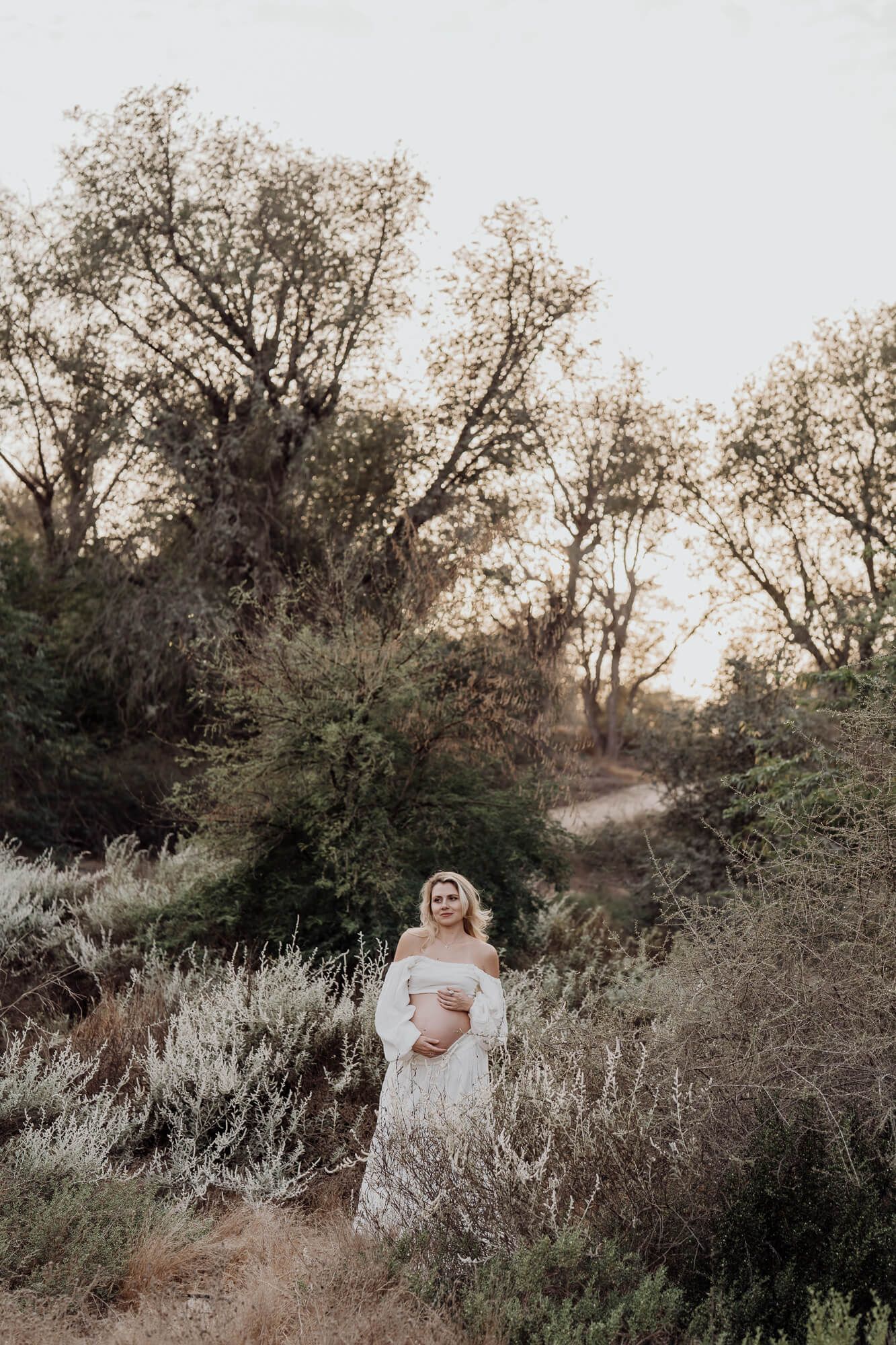 A maternity photo of a woman in white dress standing among wild sage brush at dusk.
