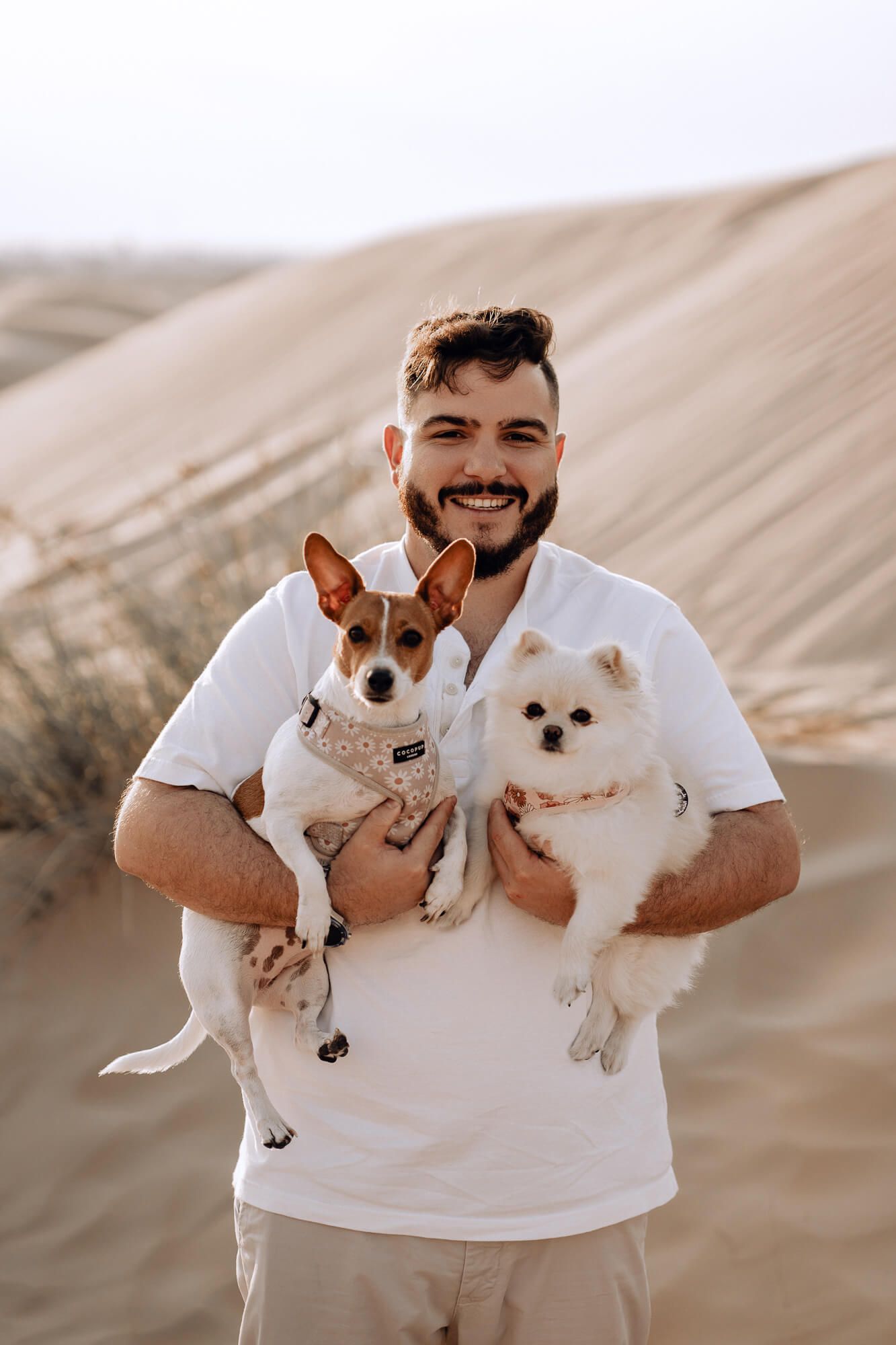 Person smiles while holding two small dogs against scenic desert sand dunes.