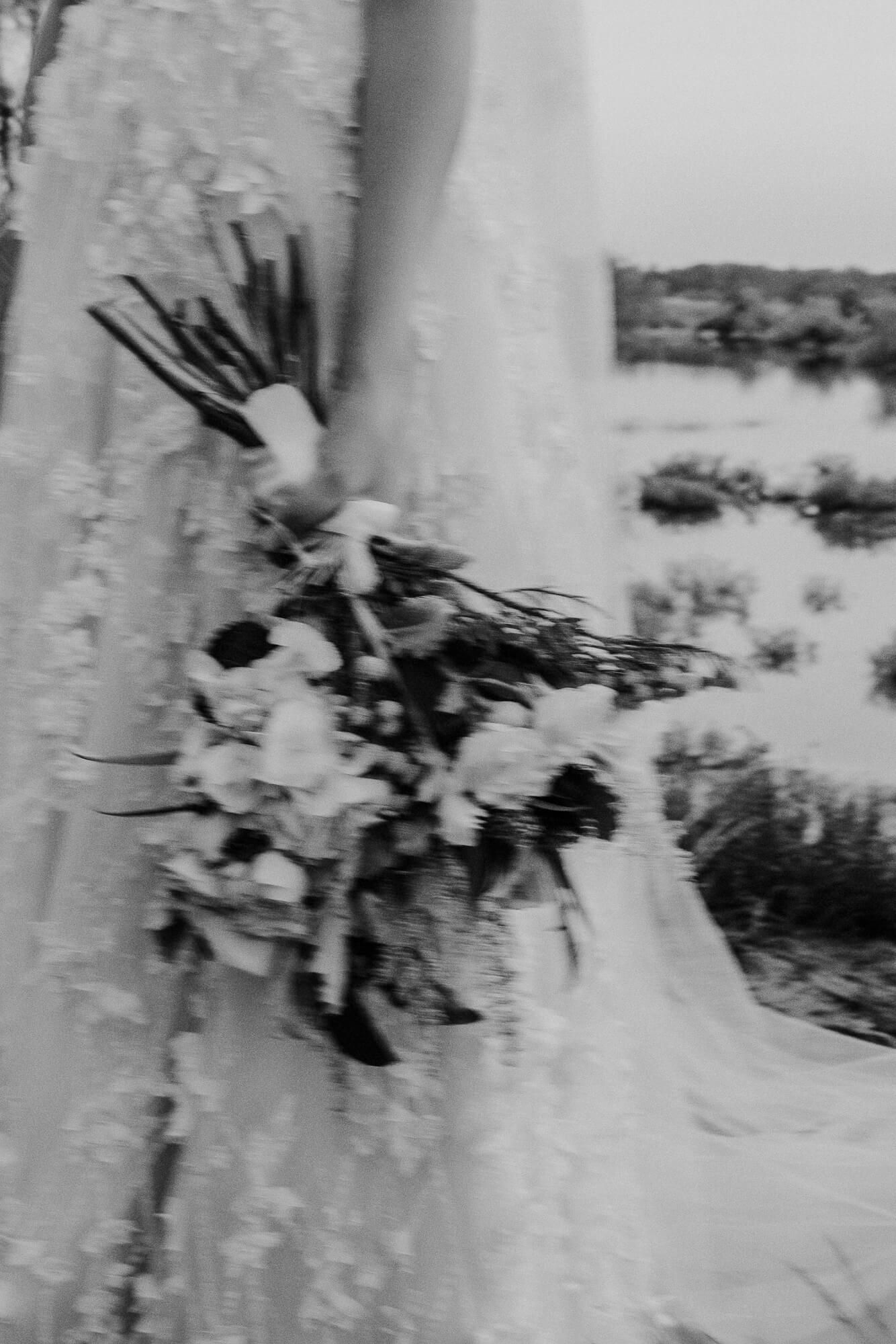 Multiple black and white photographs showing flying birds in motion with blurred wings against a light background.