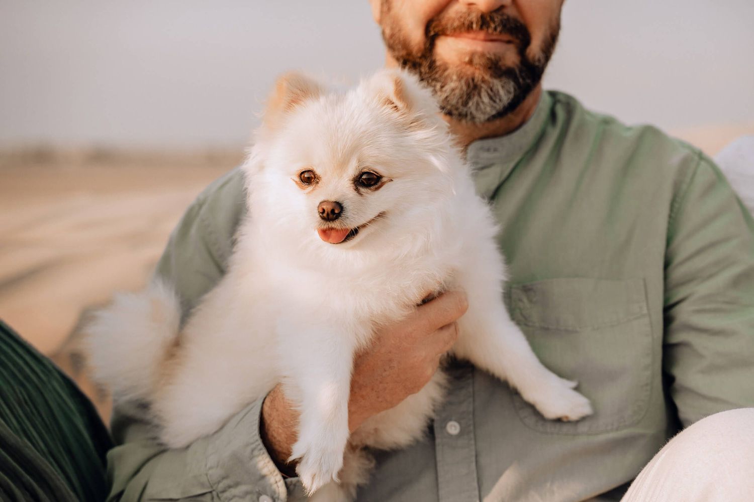 Two adorable small dogs being held and cuddled indoors in a cozy setting.