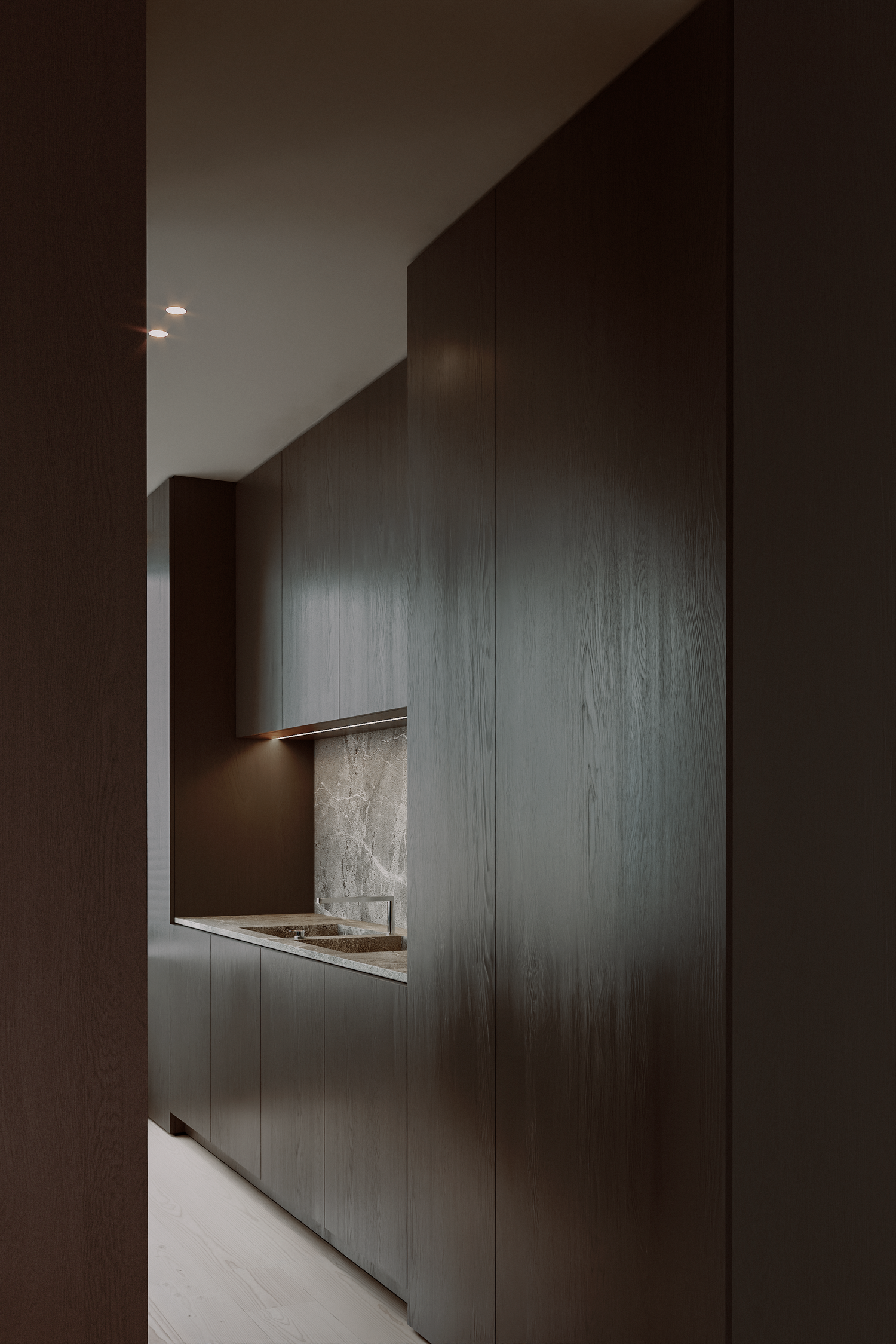 Minimalist dark wood kitchen cabinetry with marble backsplash, viewed through a narrow corridor in moody lighting.