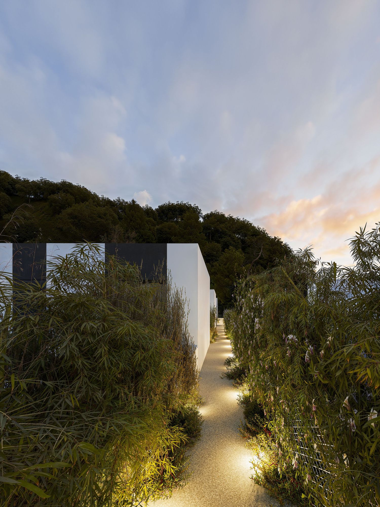 A winding illuminated pathway through lush greenery at dusk with glowing ground lights leading into the distance.
