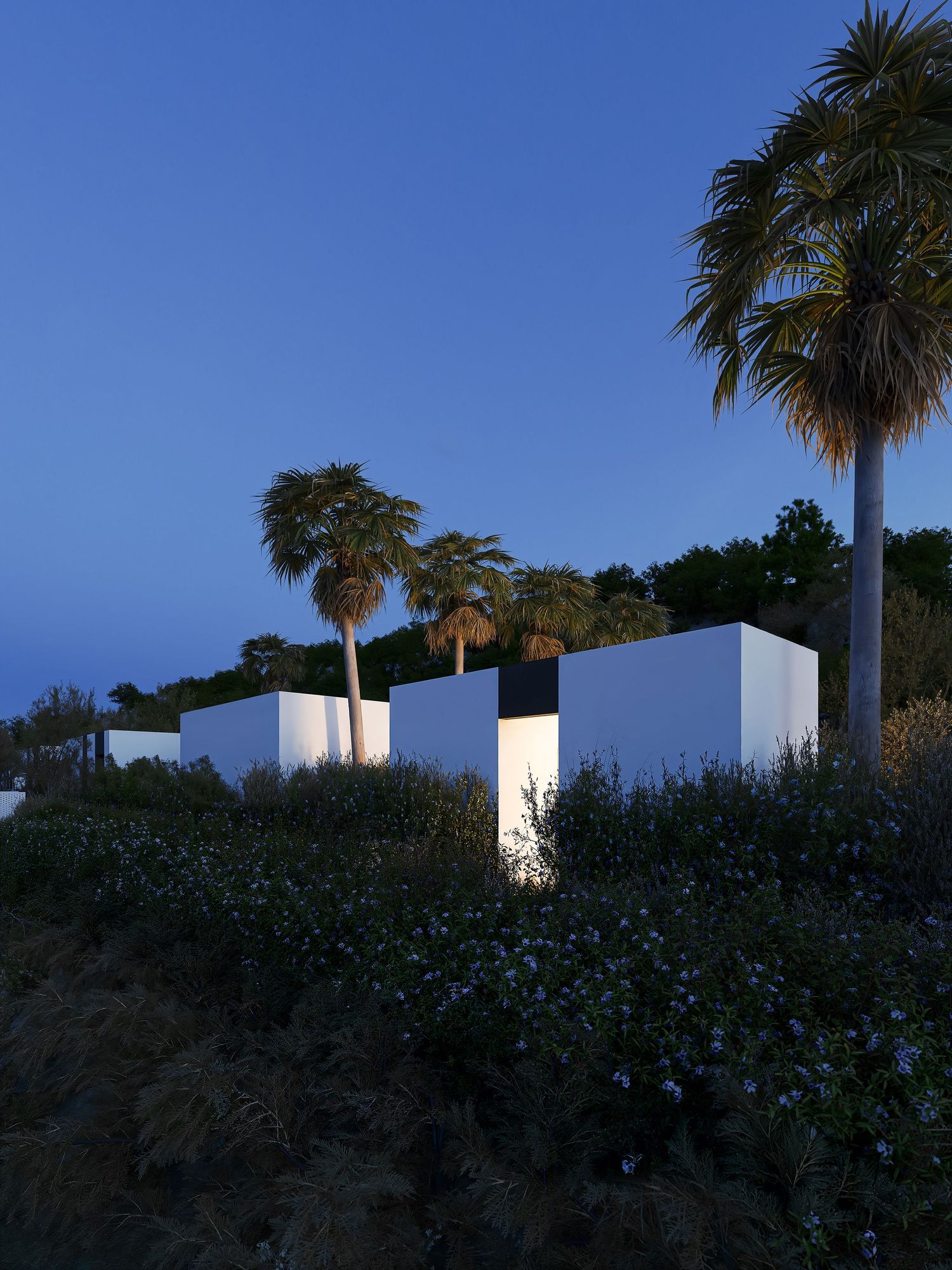 A series of white architectural structures stand against a blue sky with palm trees and lush vegetation in the foreground.