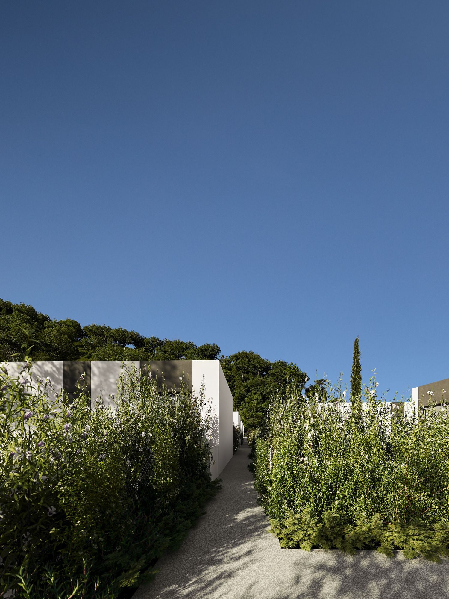 A white stone stairway winds upward along a Mediterranean hillside with green plants and bright blue sky.