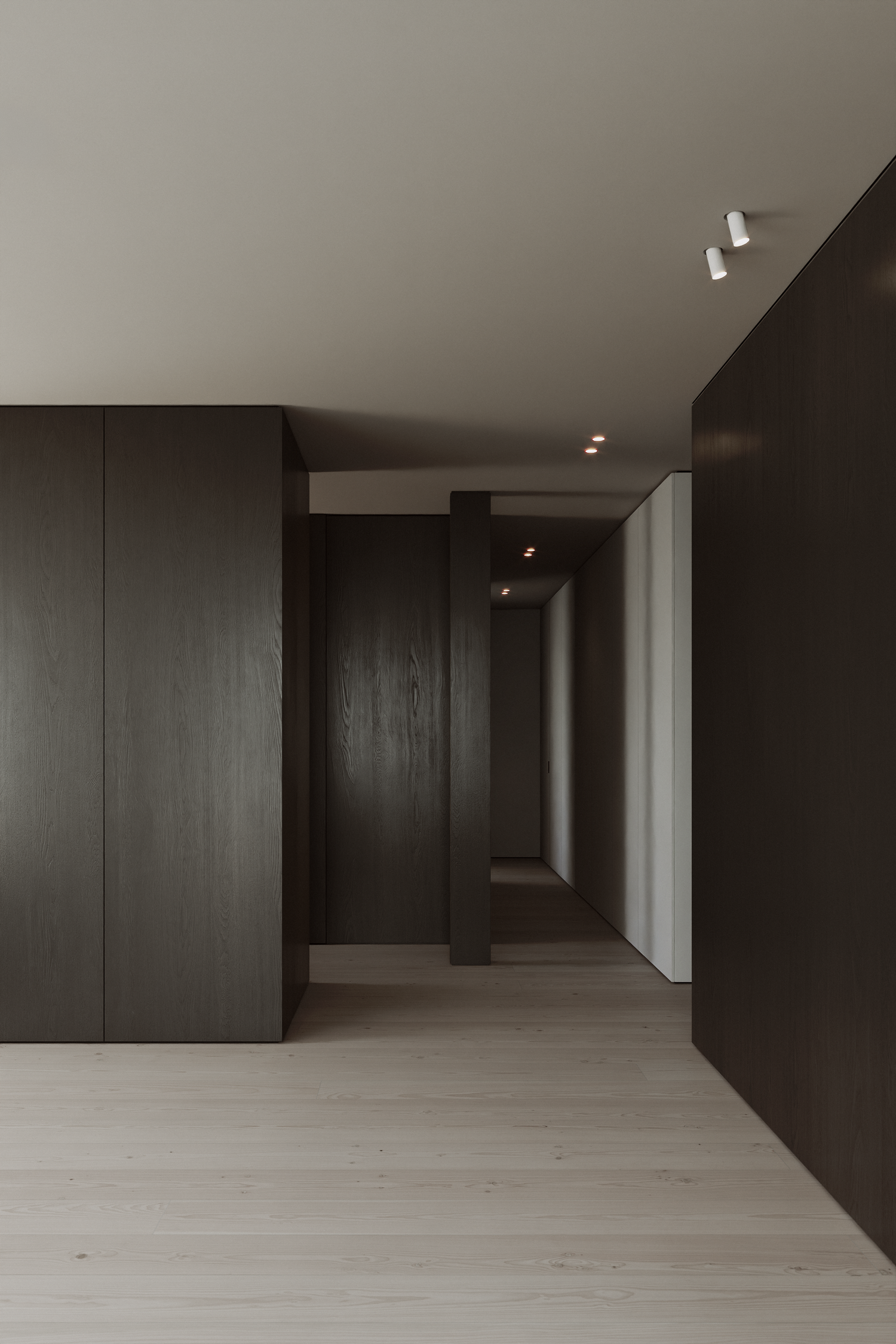 Modern minimalist hallway with dark wood panels, light hardwood floors, and recessed spotlights in a sleek interior design.