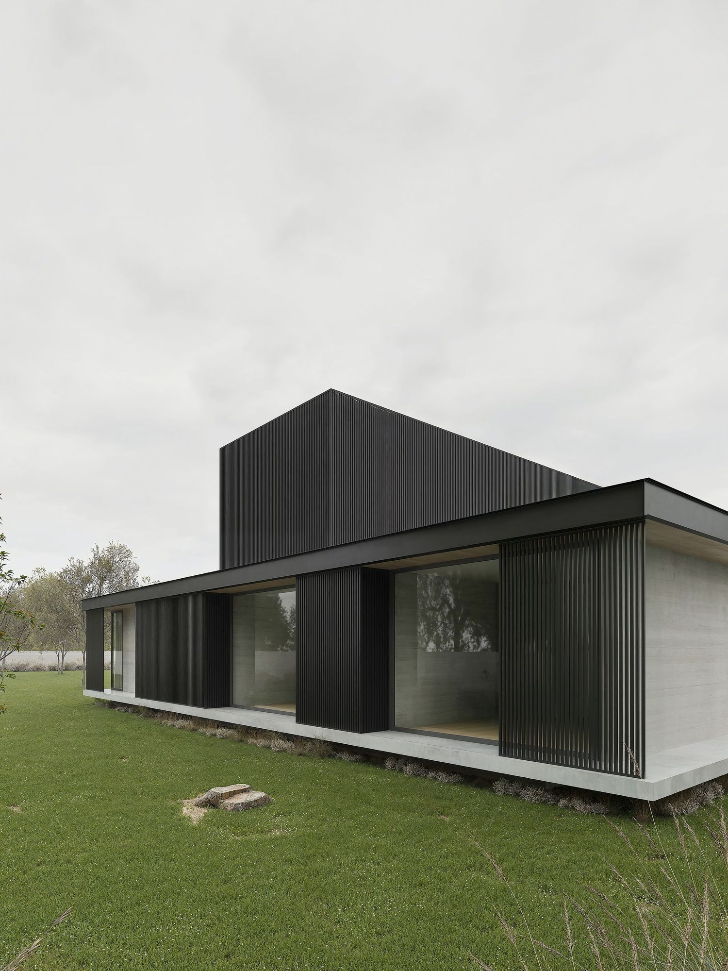 Modern minimalist house with black exterior panels and white accents features a sleek horizontal design in a pastoral setting.