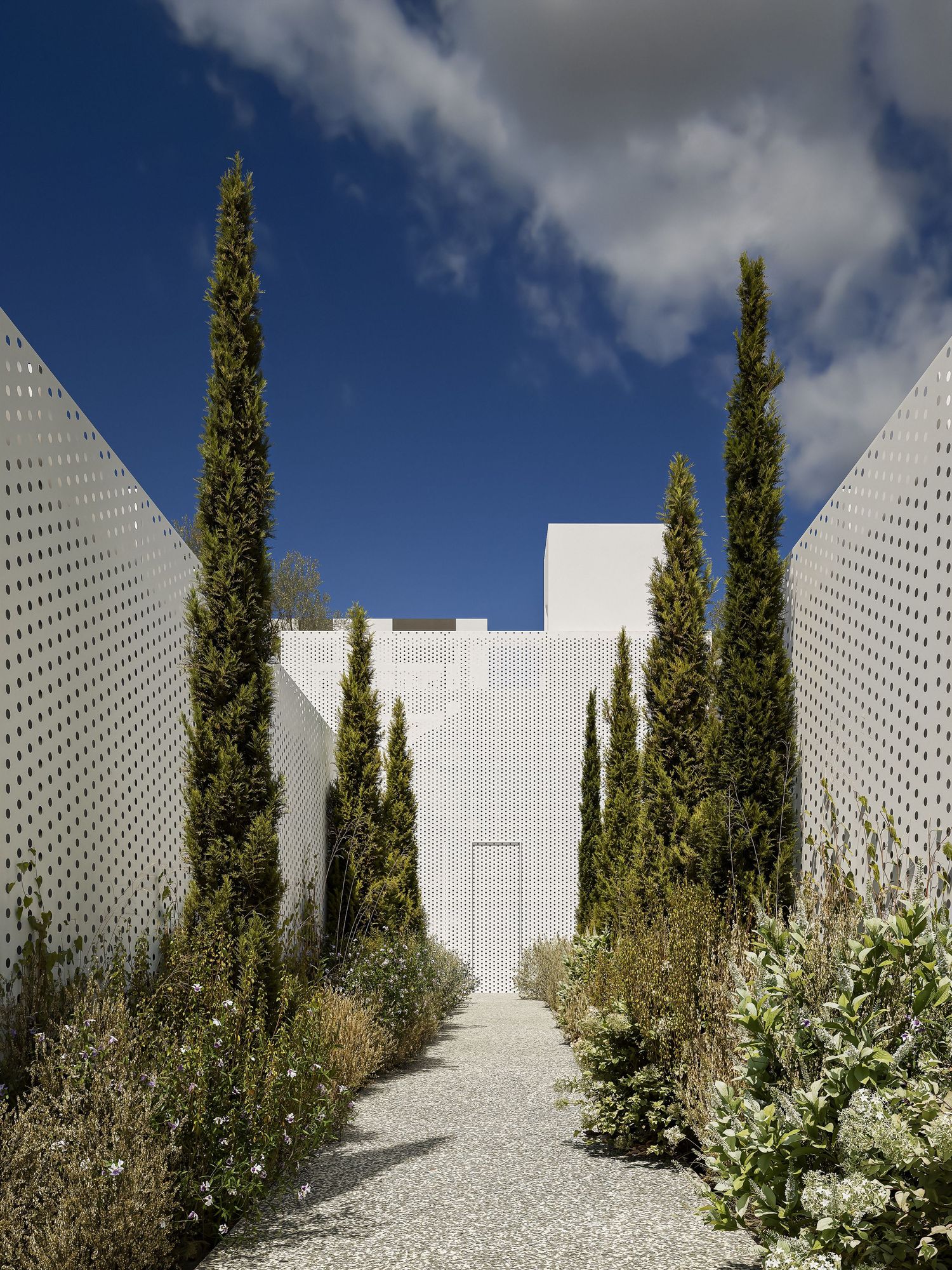 Modern architectural pathway with white walls, tall cypress trees, and gravel path leading to a minimalist entrance.