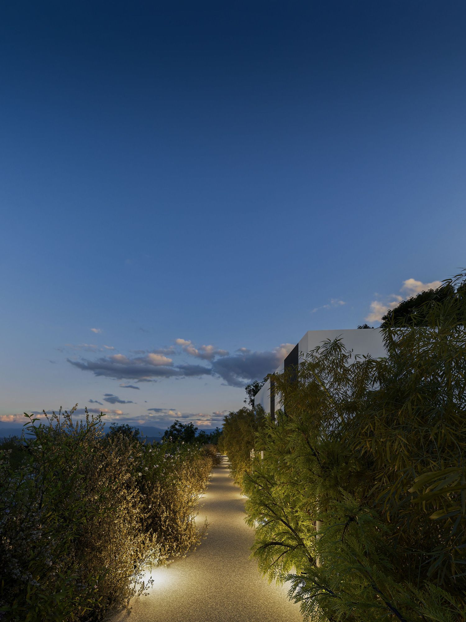 A scenic pathway illuminated by lampposts leads through foliage at dusk with a deep blue sky overhead.