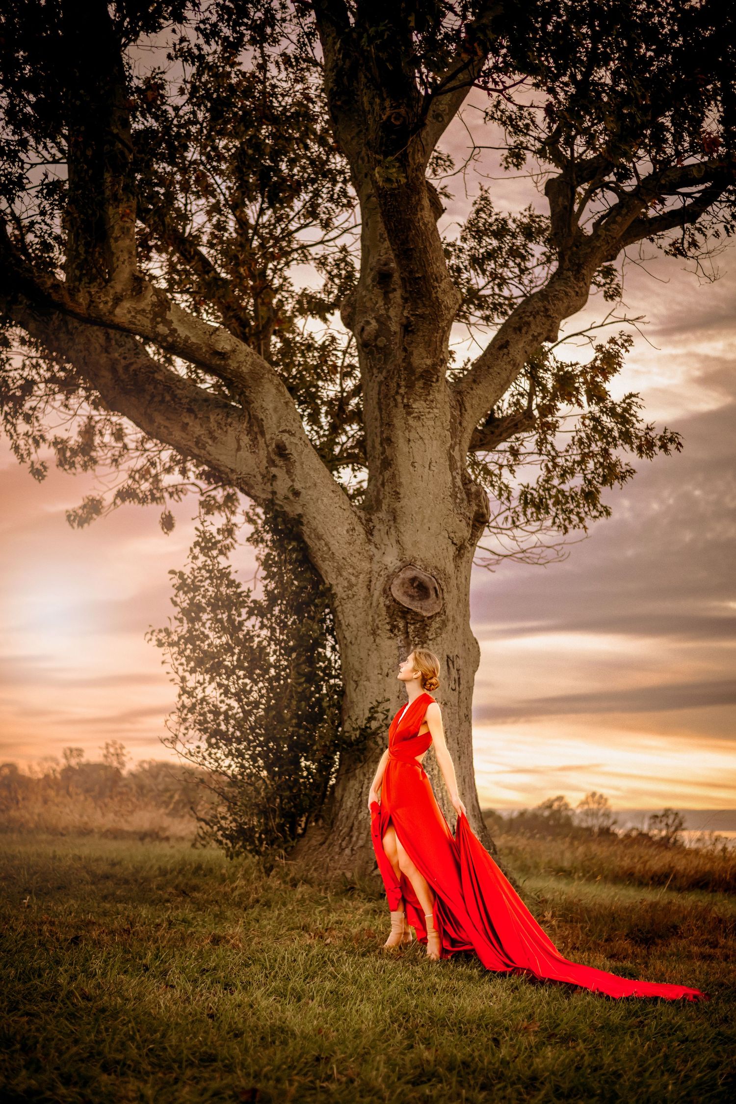 Woman in flowing red gown stands beneath a large oak tree at sunset in an open field.
